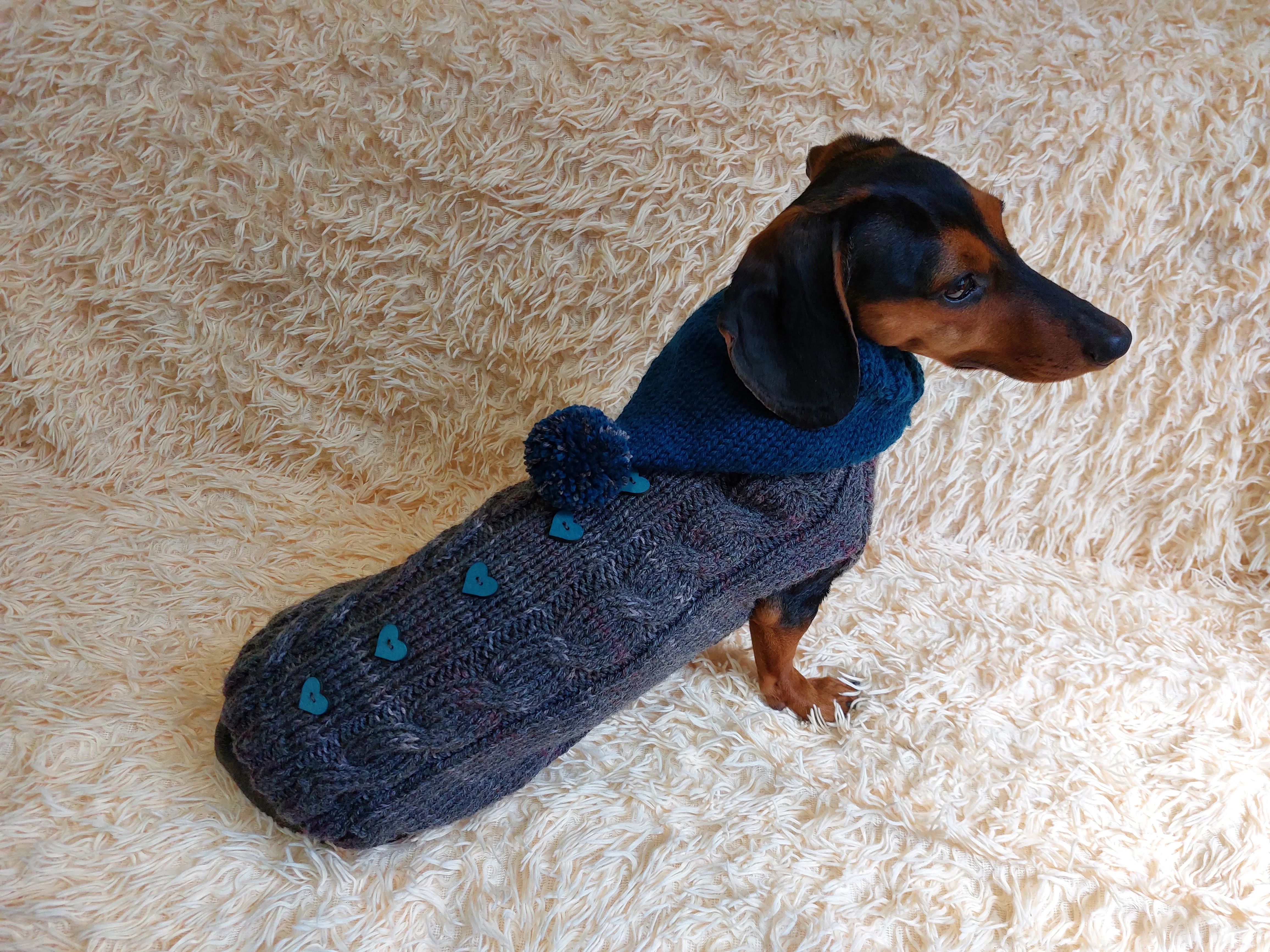 Pet clothes hoodie with hearts,Knitted hoodie for dog, hoodie for miniature dachshund