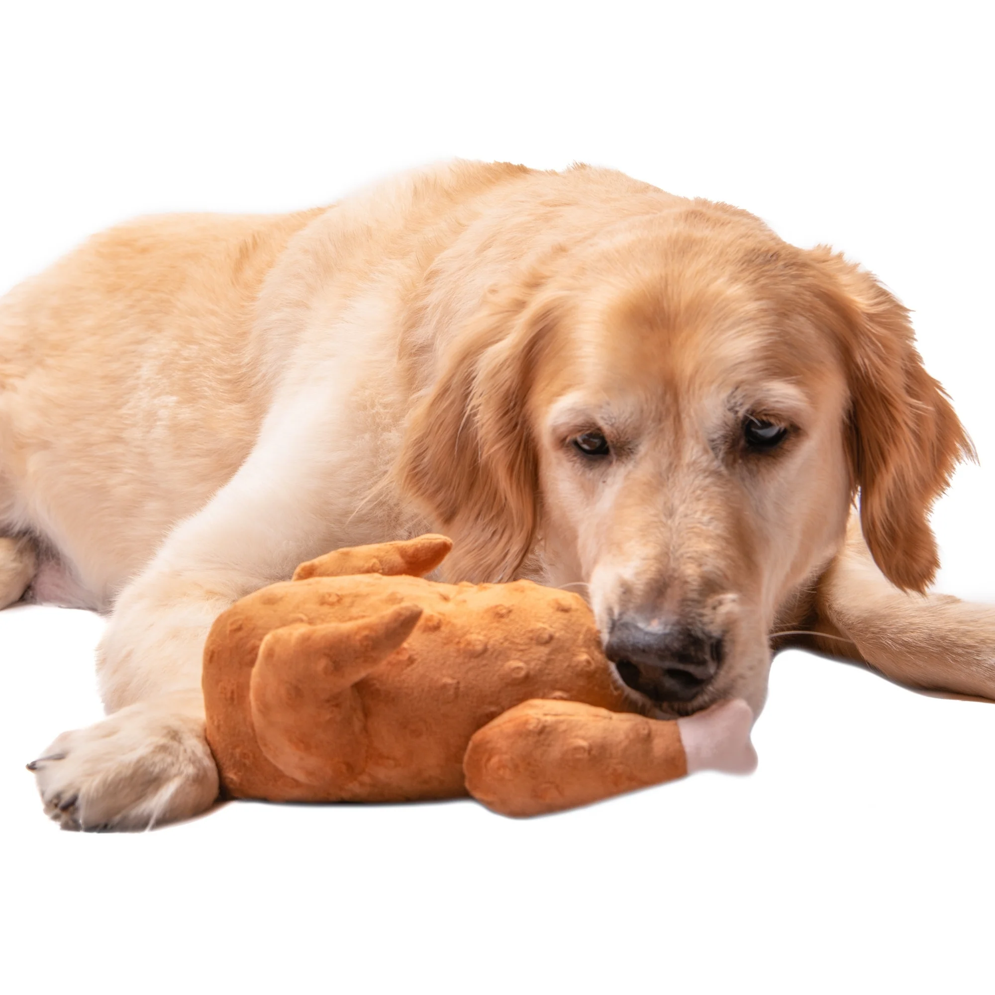 Midlee Roasted Thanksgiving Turkey Plush Dog Toy