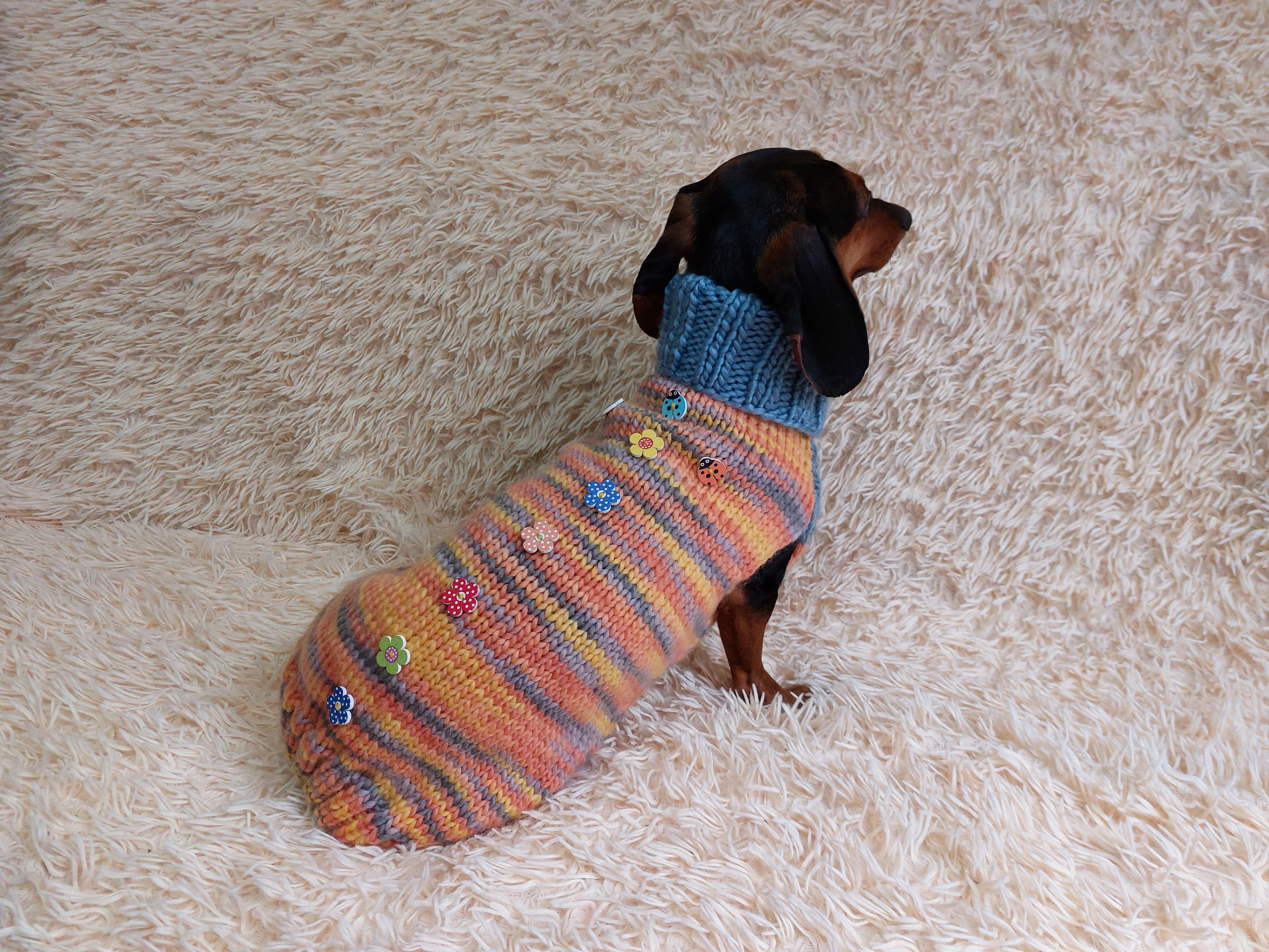 Wool Coat with Flowers and Ladybug for Pets - Winter Wool Sweater for Dogs with Collar - Dachshund Warm Clothes Jumper