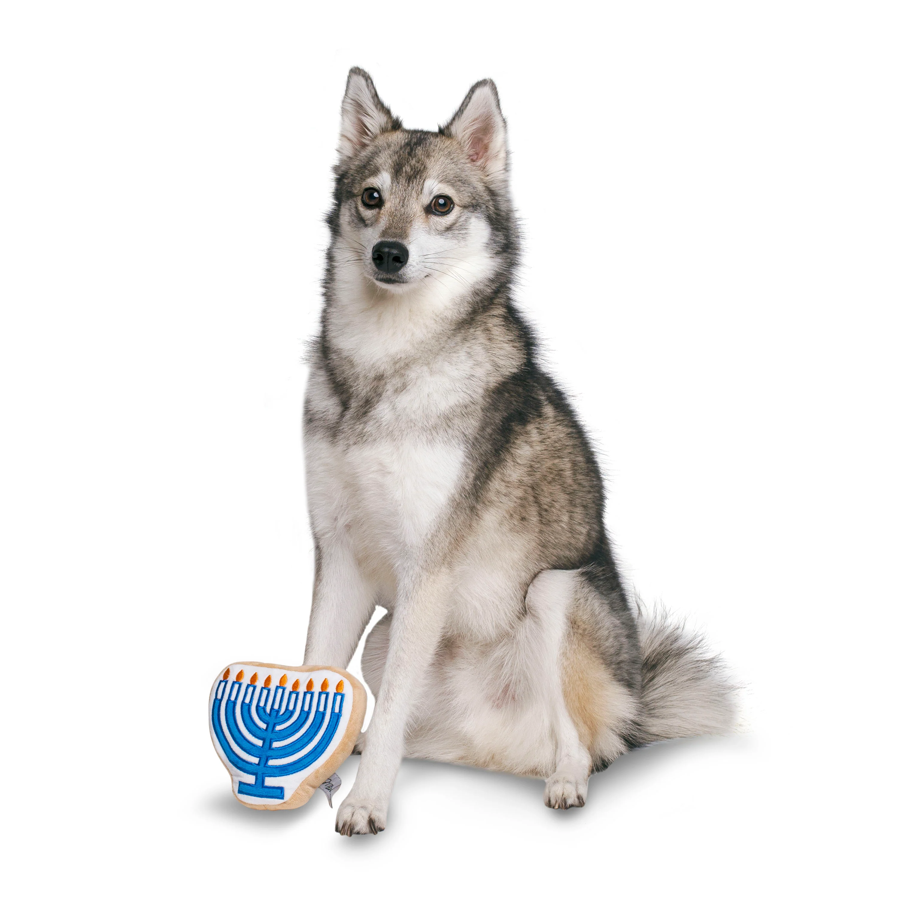 Midlee Menorah Sugar Cookie Dog Toy