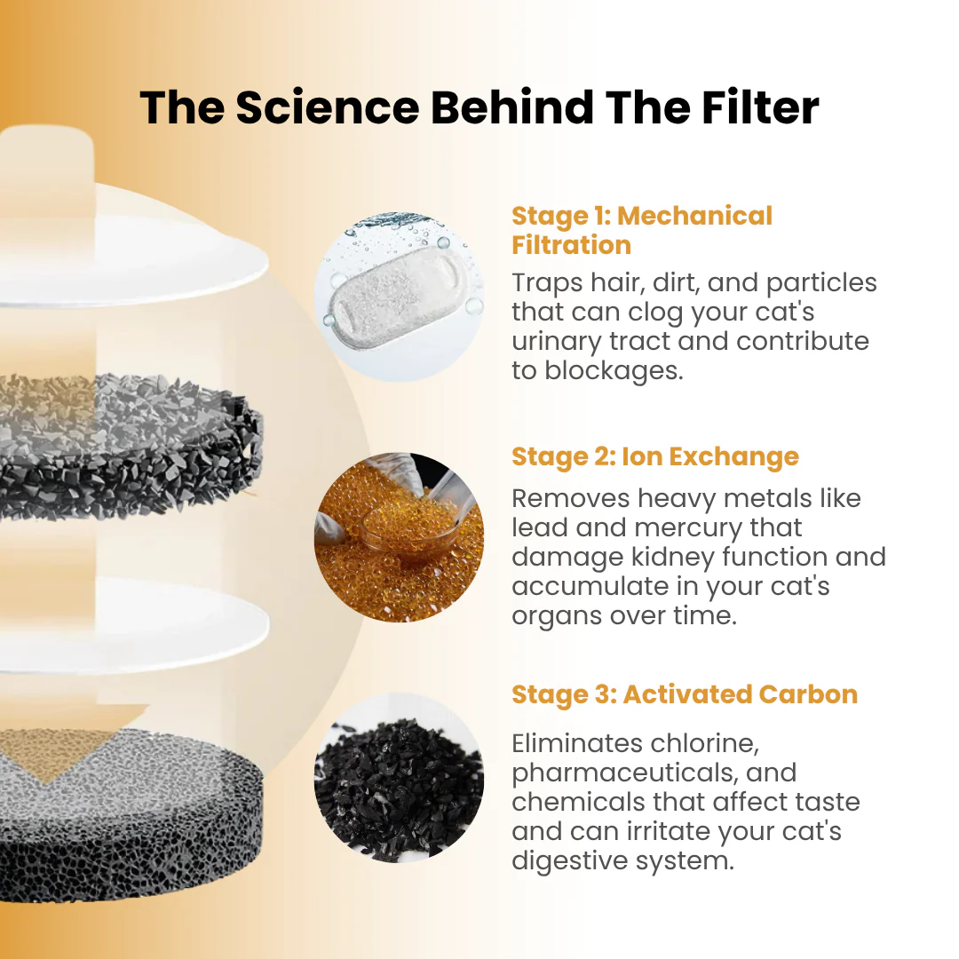 The KittySpout™ - Health & Happiness Cat Kit