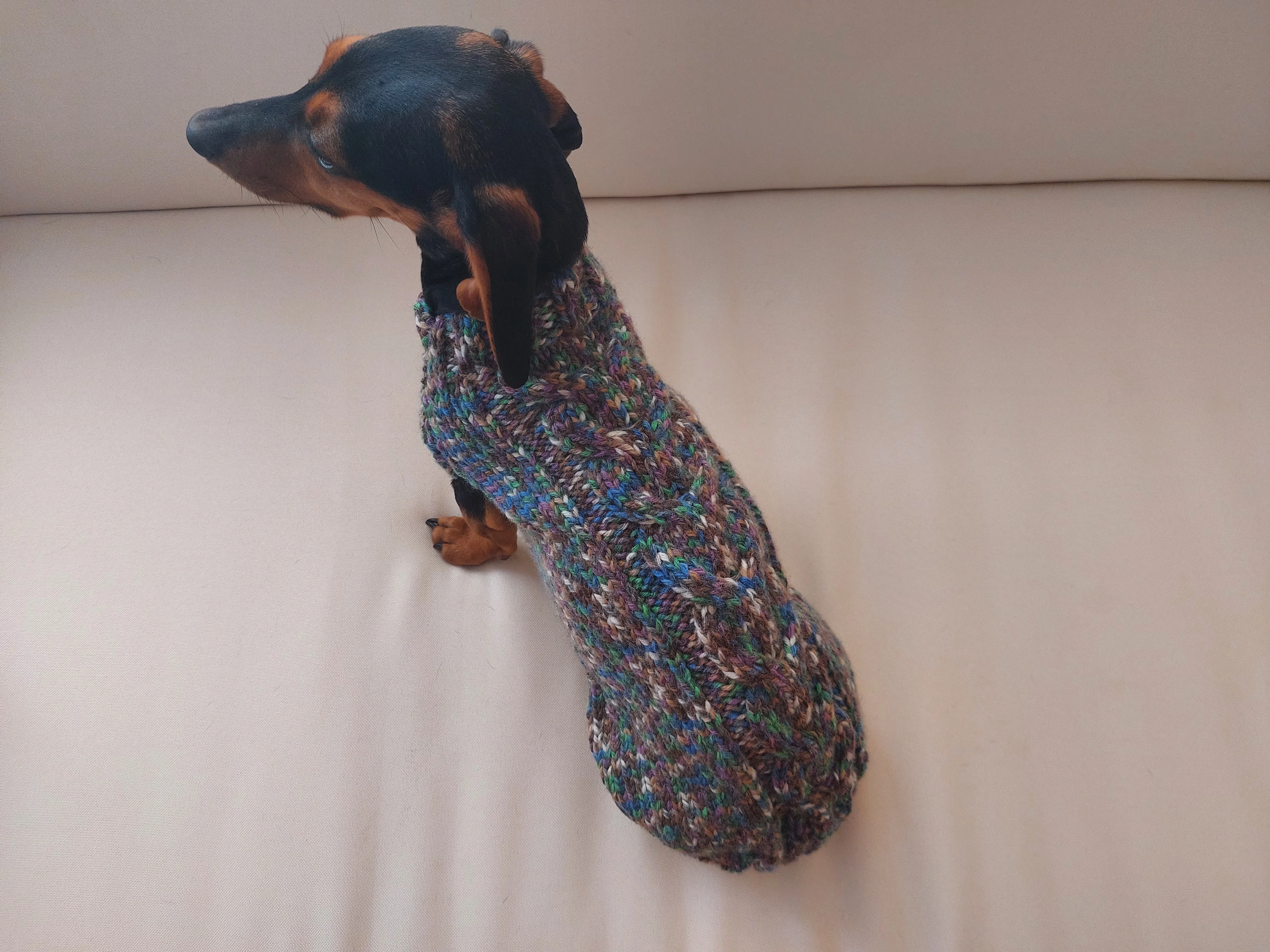 Wool dog jumper,dachshund cloches wool sweater