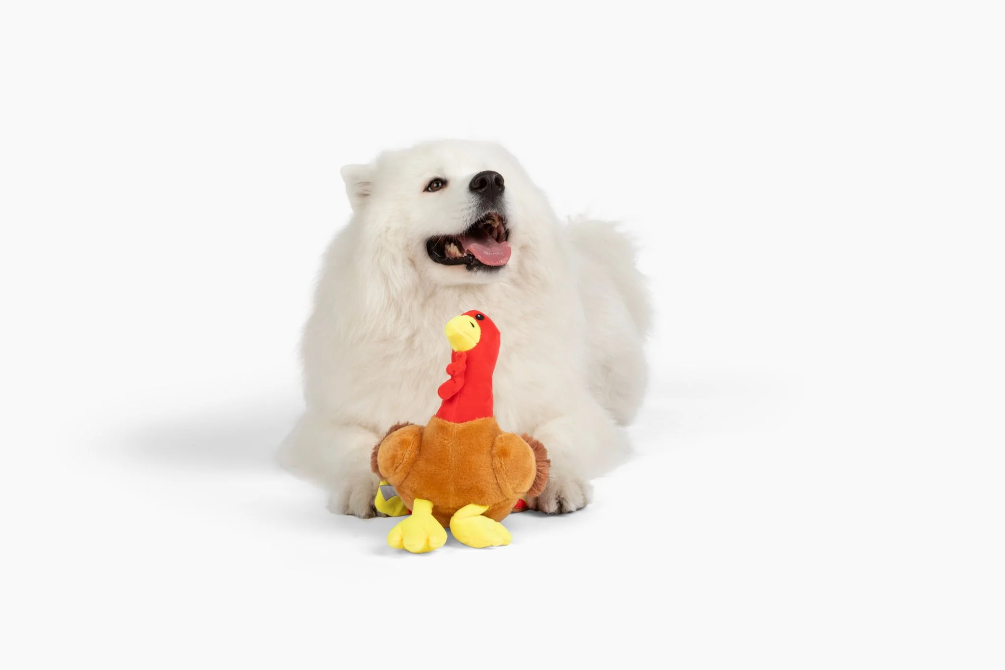 Midlee Thanksgiving Turkey Dog Toy- Large Stuffed Squeaky Pet Toy