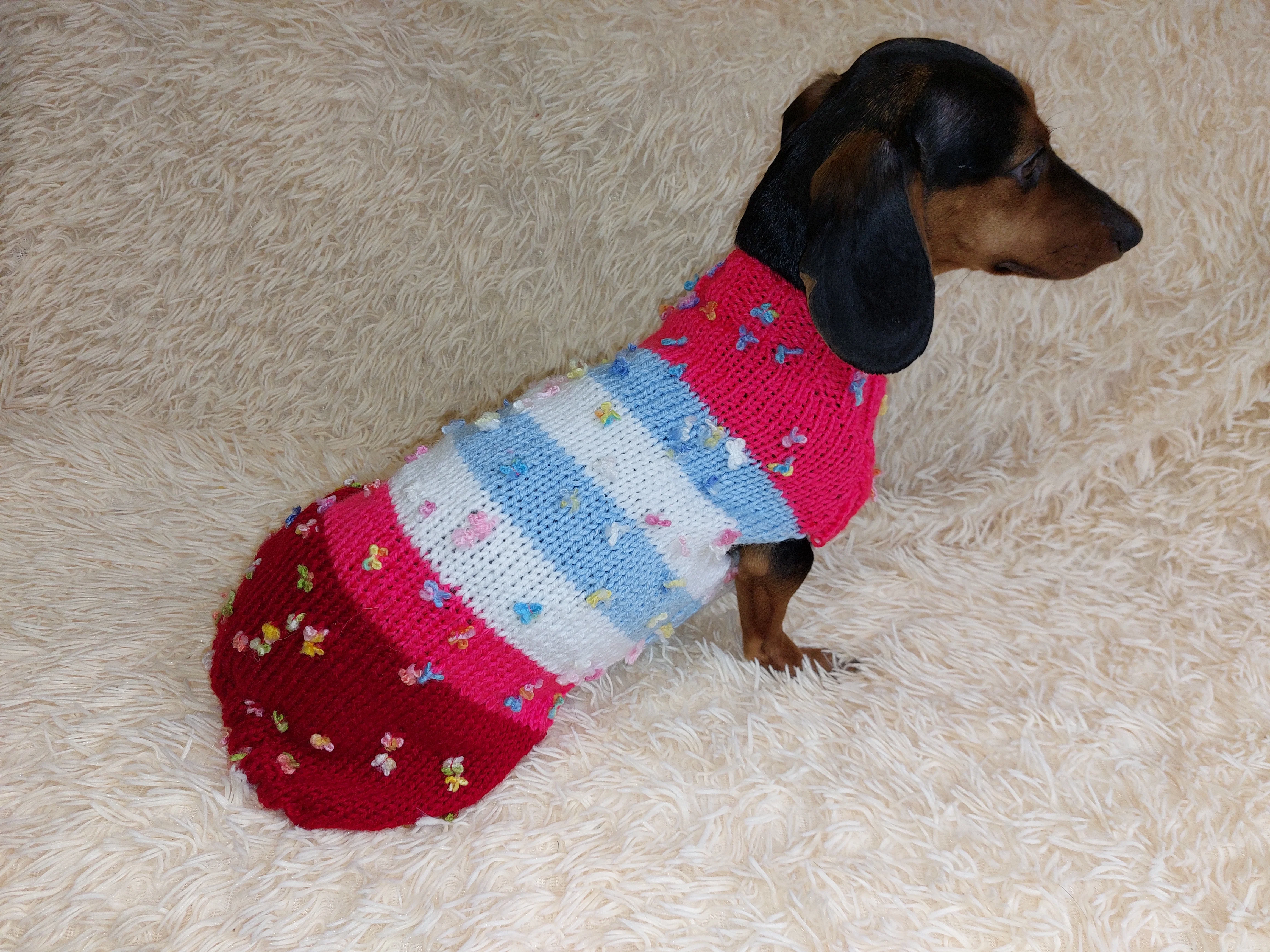 Striped floral bright outfit for a dog with flowers