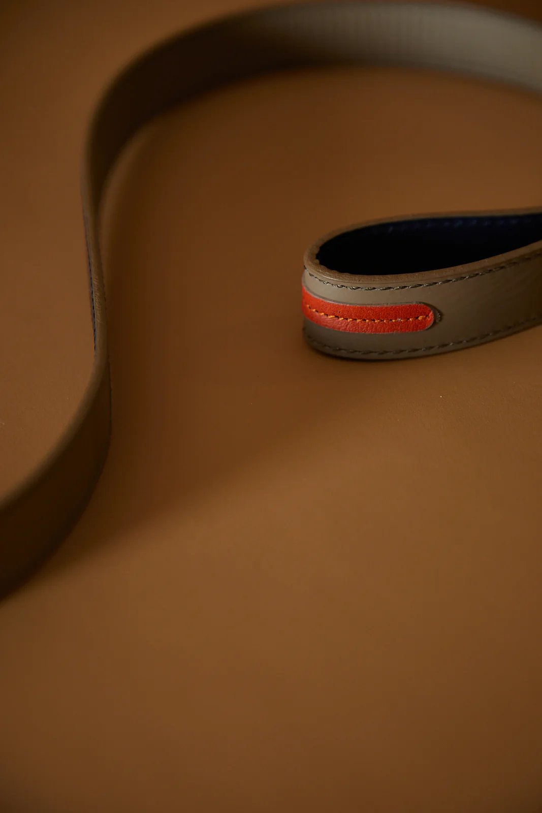 Leather Leash SOLEIL