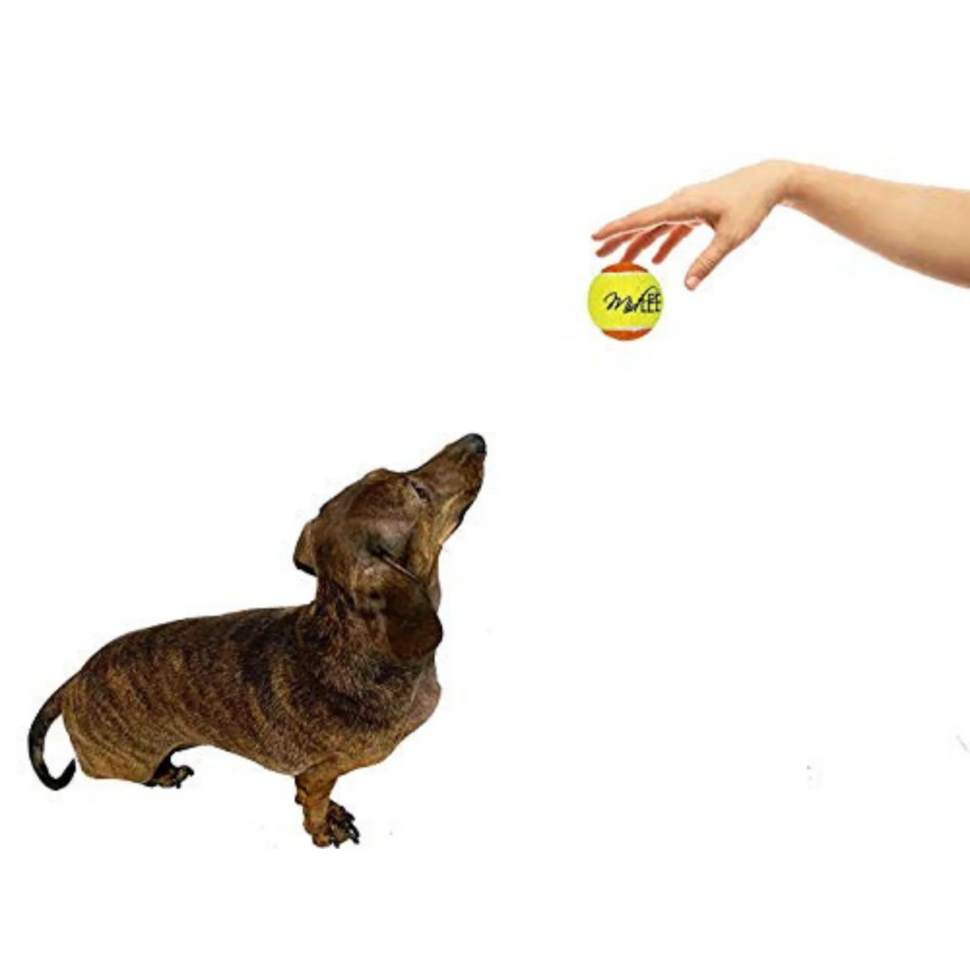Midlee 2 Yellow/Orange Small Dog Tennis Balls (12-Pack)