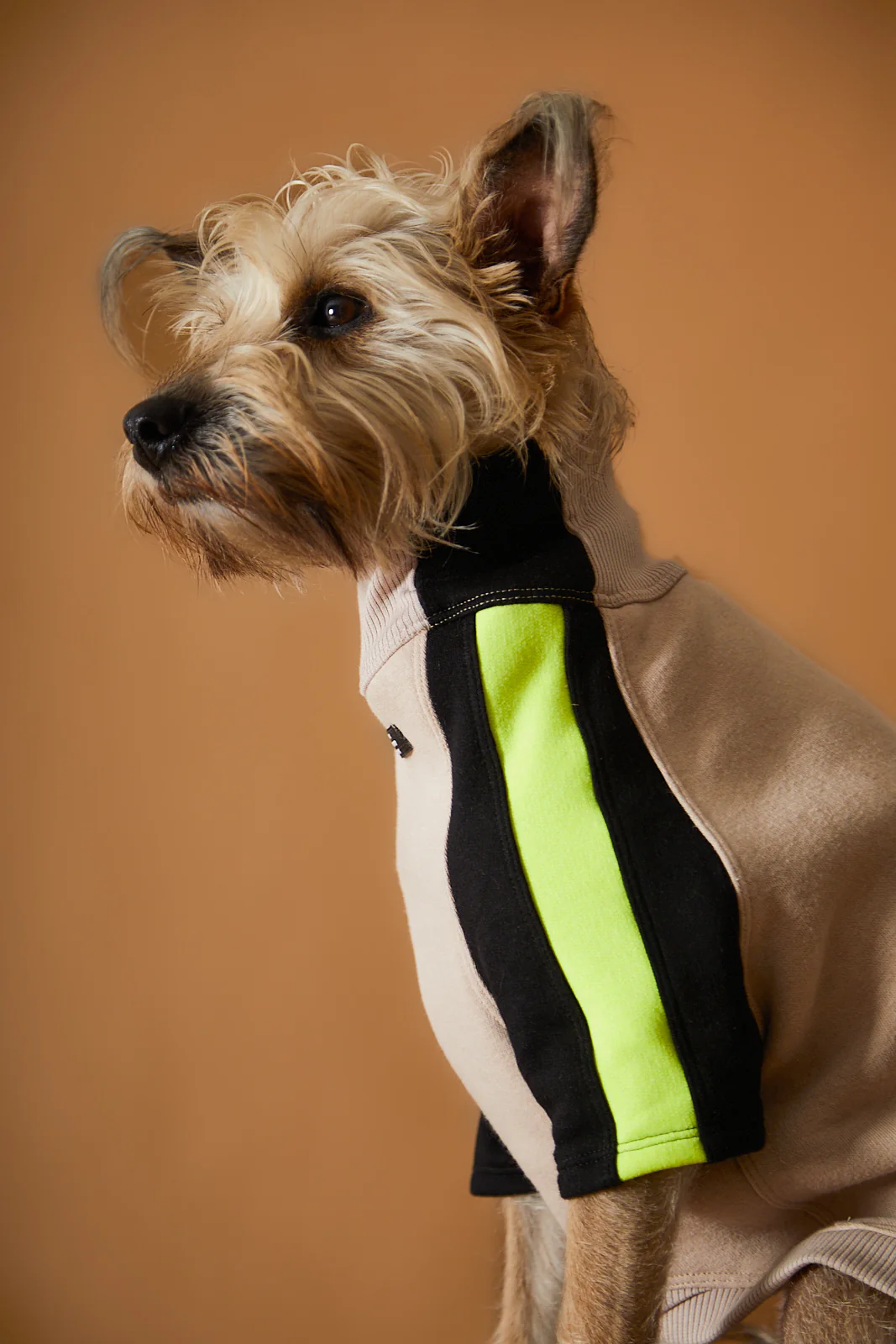 Turtleneck Sweater BELLE