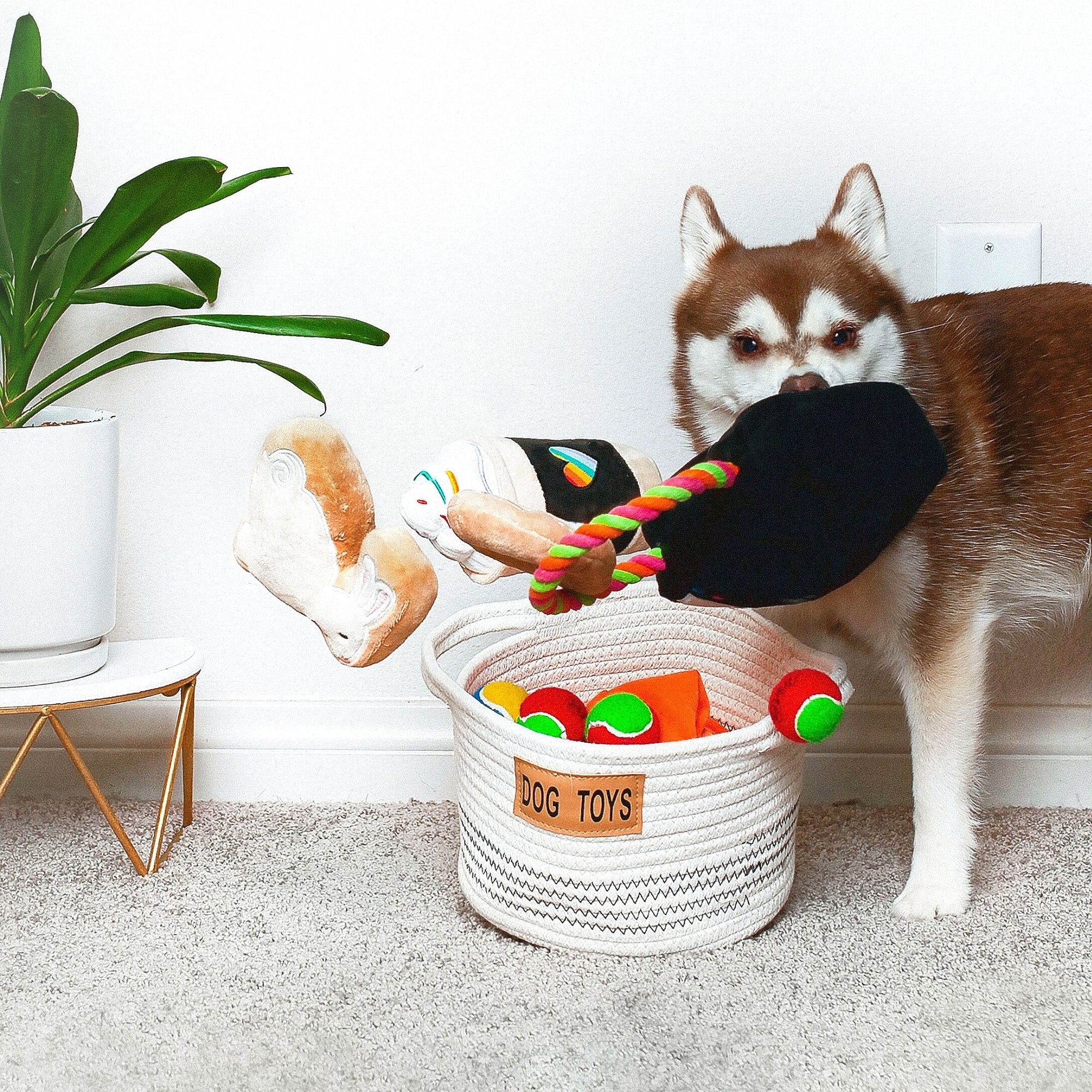 Midlee Dog Toy Rope Cotton Basket