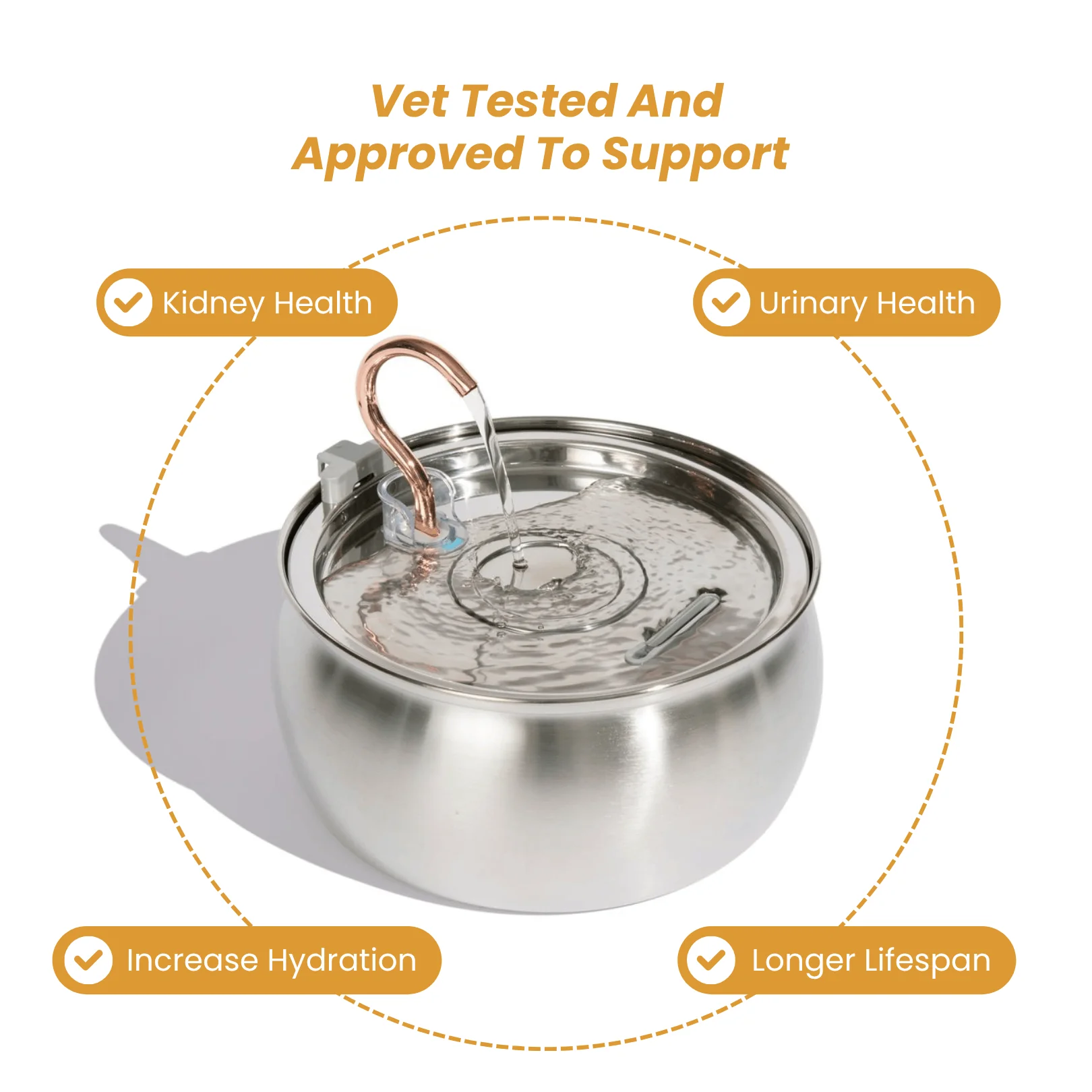 The KittySpout™ - Health & Happiness Cat Kit