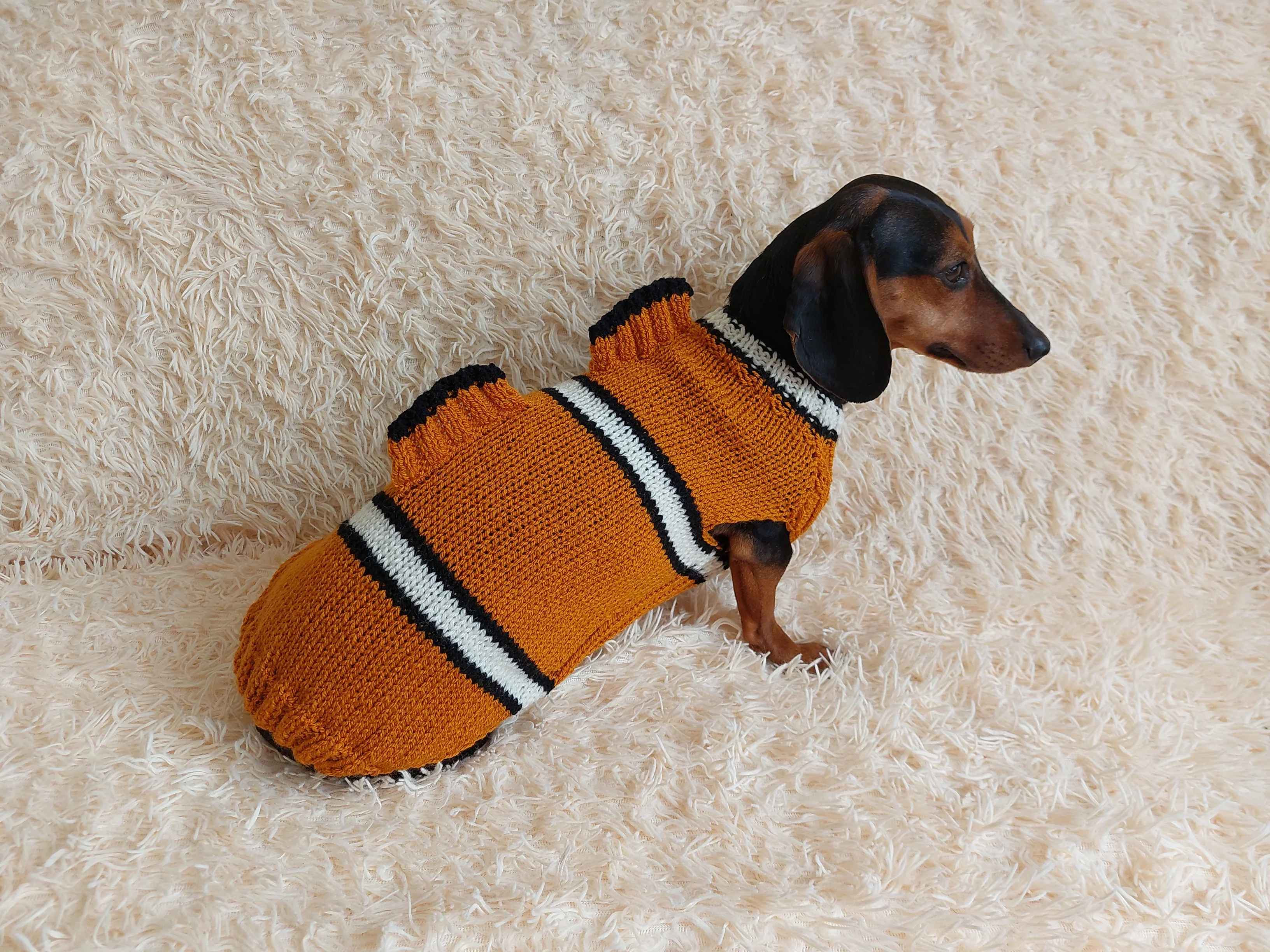 Fish costume for dog sweater, sweater fish for dogs, clothes for dogs marine style, dog jumper fish, fish costume for dachshund