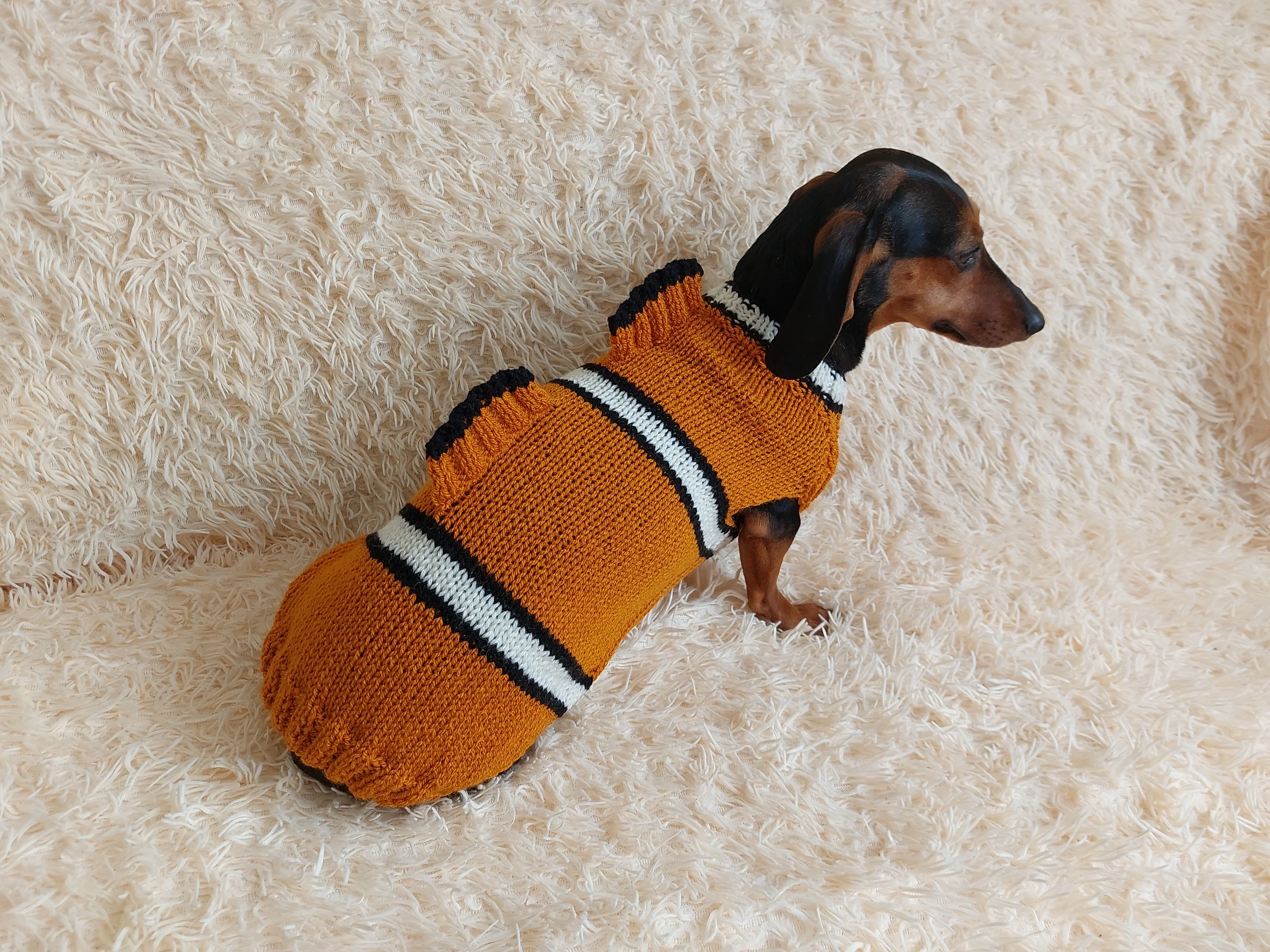 Fish costume for dog sweater, sweater fish for dogs, clothes for dogs marine style, dog jumper fish, fish costume for dachshund