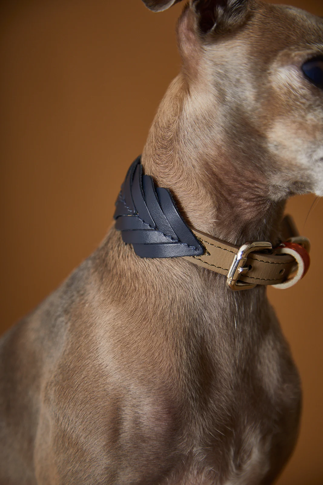 Leather Collar SOLEIL