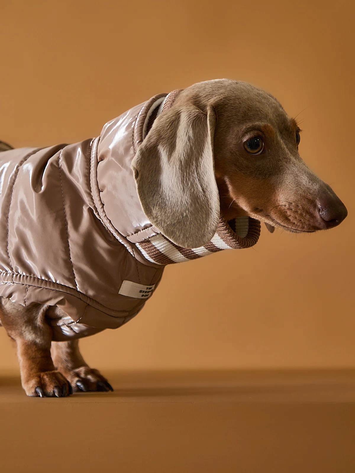 Dachshund Taupe Waterproof Turtleneck Jacket RUE