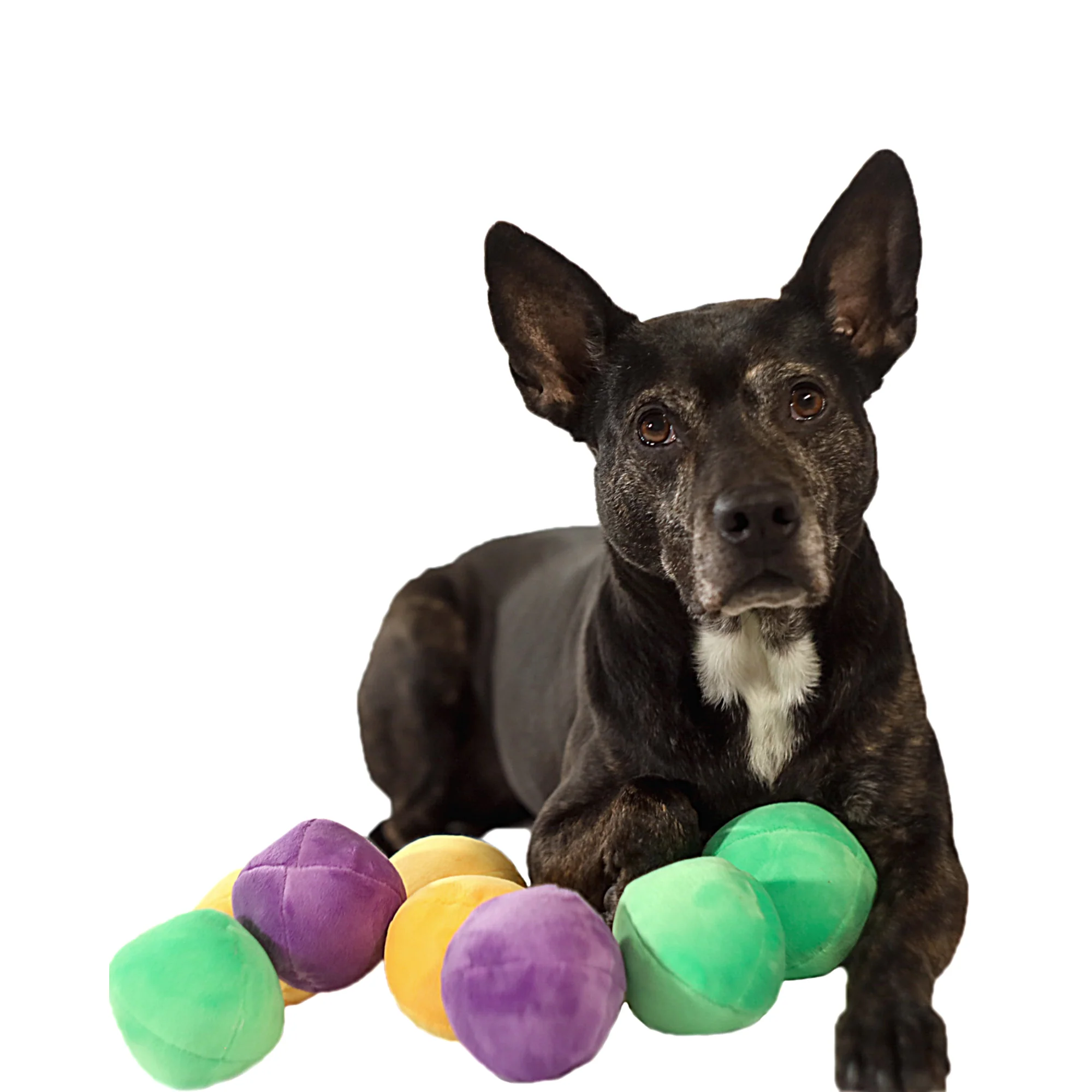 Midlee Squeaky and Crinkley Plush Dog Balls (Refill for Midlee Hide a Ball)