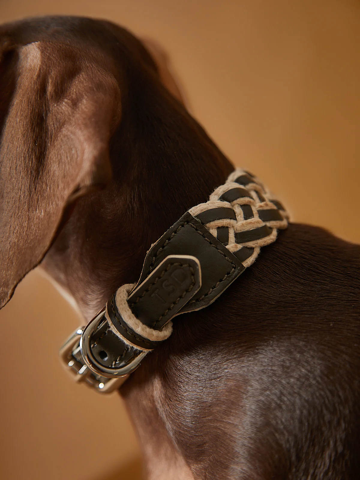 Leather Collar ÉTOILE