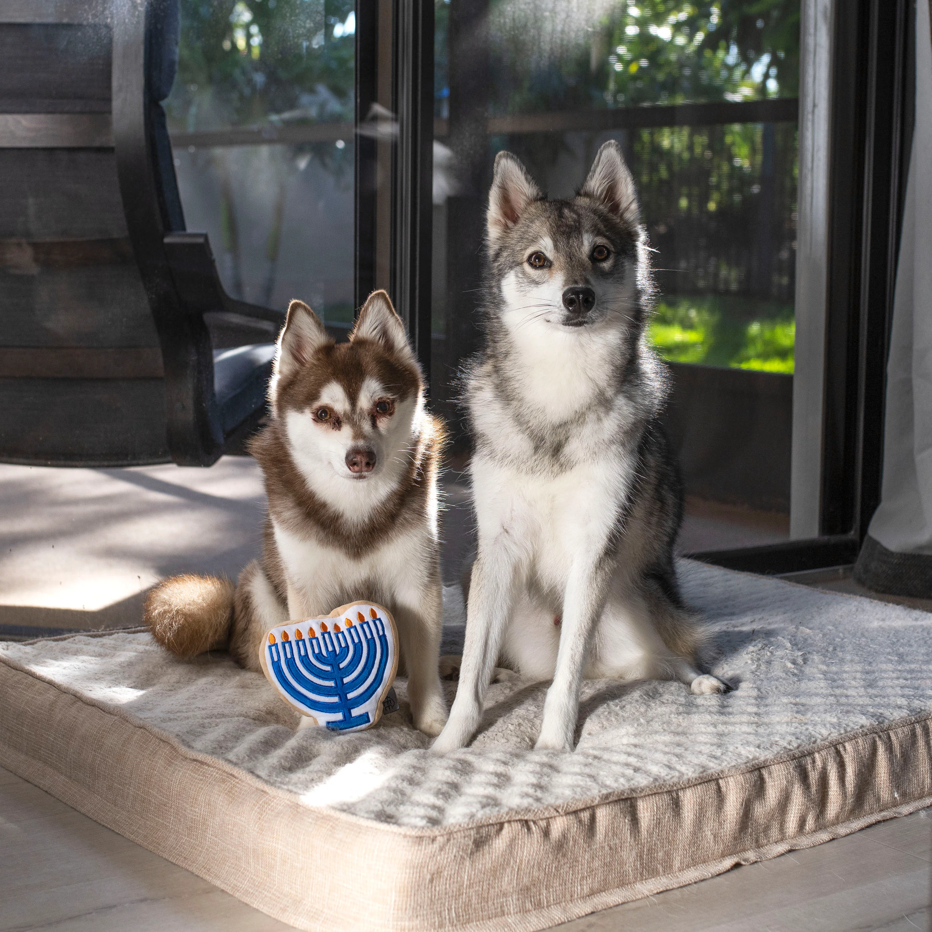 Midlee Menorah Sugar Cookie Dog Toy