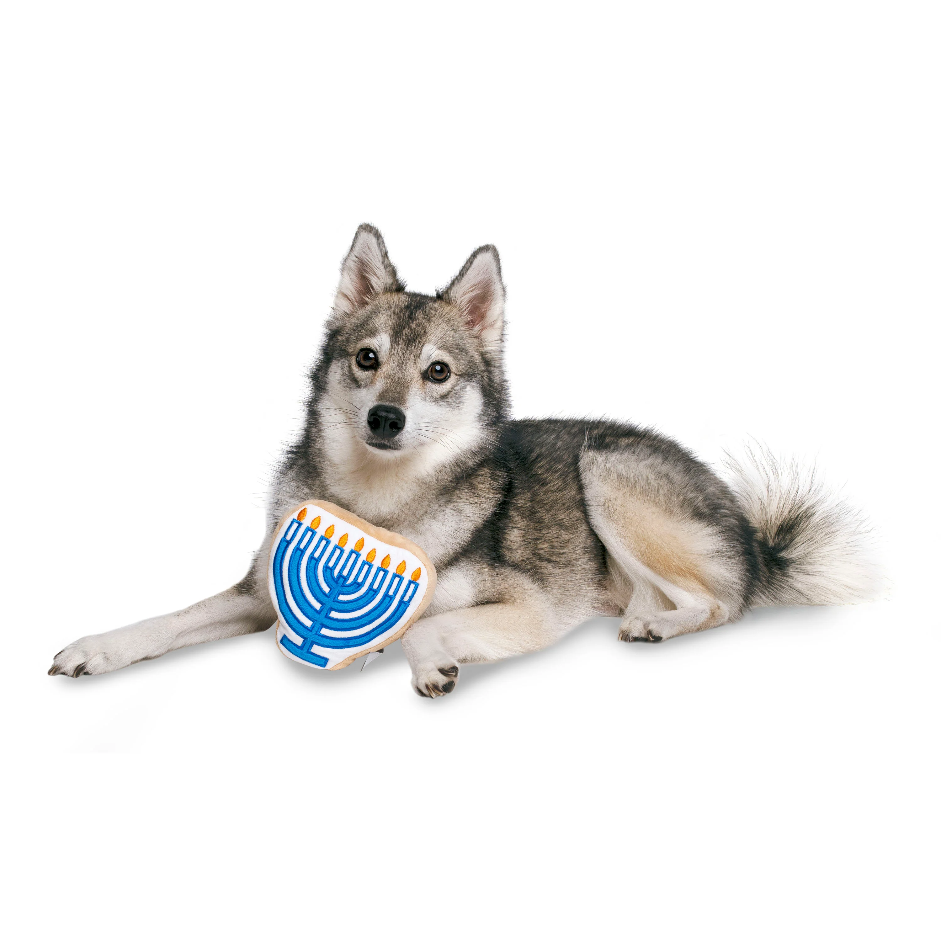 Midlee Menorah Sugar Cookie Dog Toy