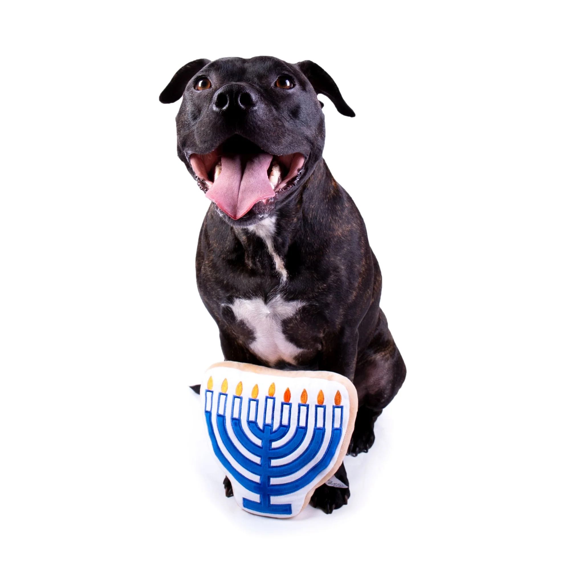 Midlee Menorah Sugar Cookie Dog Toy