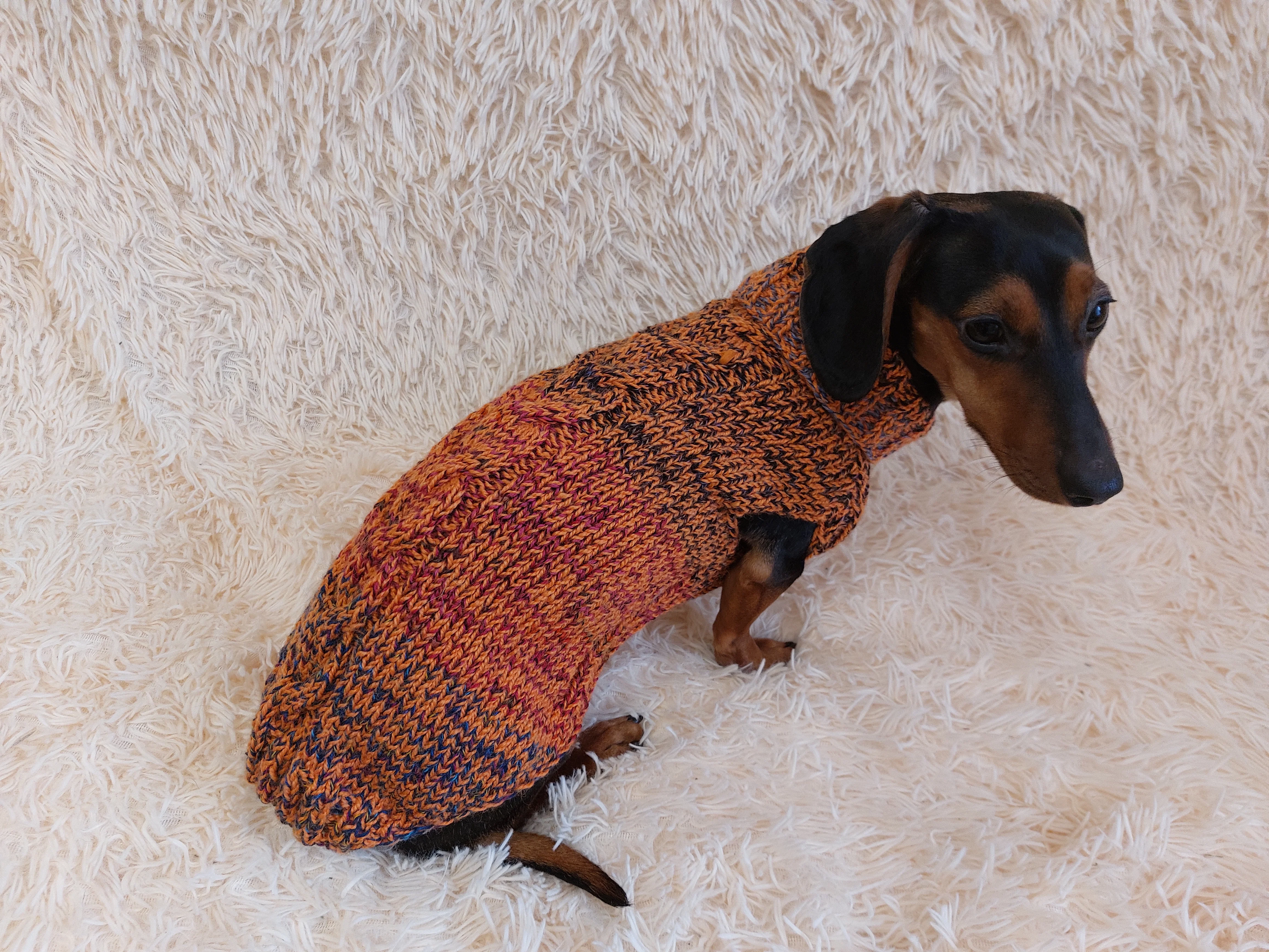 Warm Pet Clothes Small Dog Sweater, Dachshund Jumper
