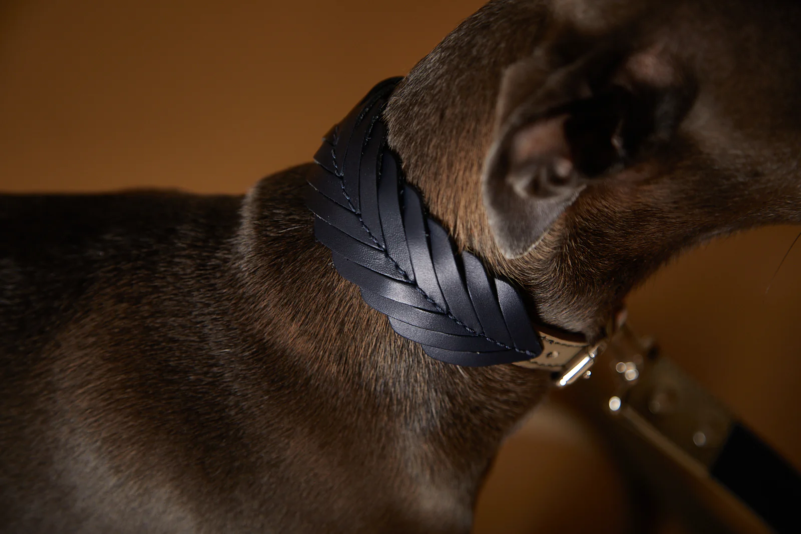 Leather Collar SOLEIL