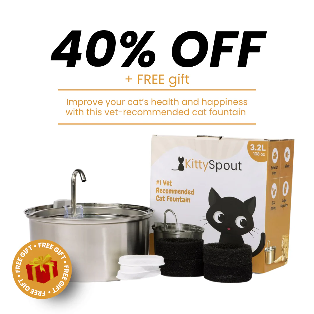 The KittySpout™ - Health & Happiness Cat Kit
