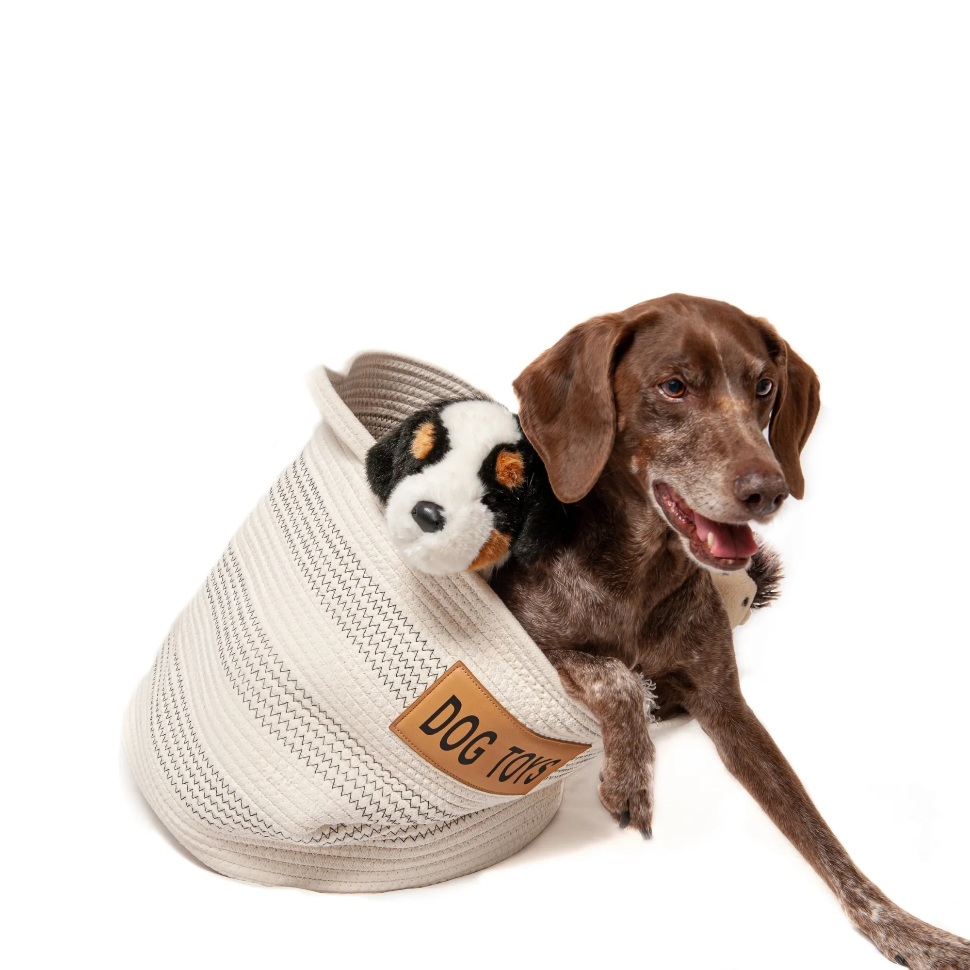 Midlee Dog Toy Rope Cotton Basket