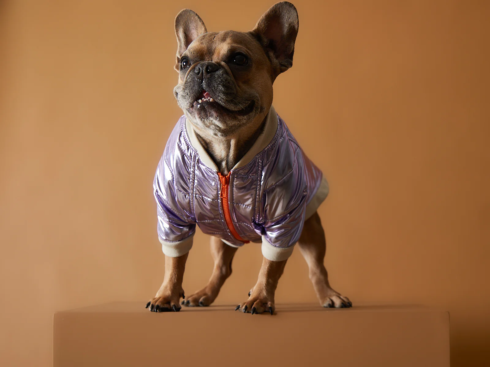 Metallic Lilac Bomber Jacket with Zipper OPERA