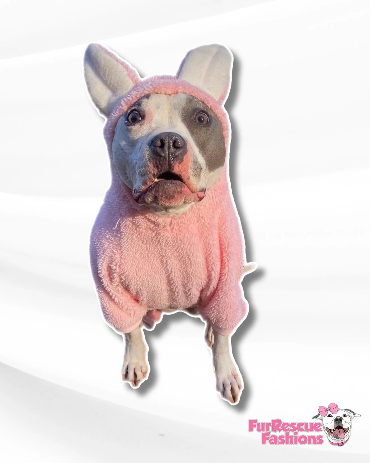 Bunny Hop Hoodie (comes in 2 different colors)