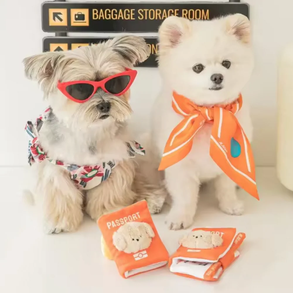 Passport Hiding Food Toy