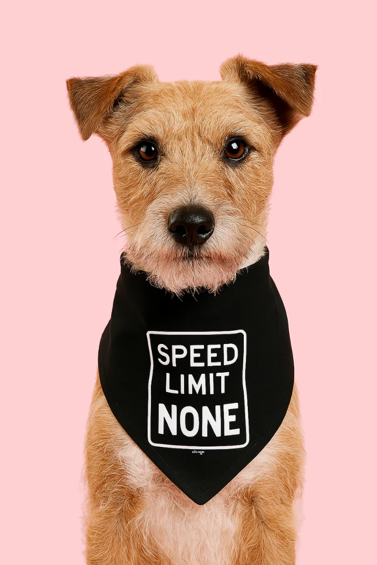 Speed Limit None Dog Bandana