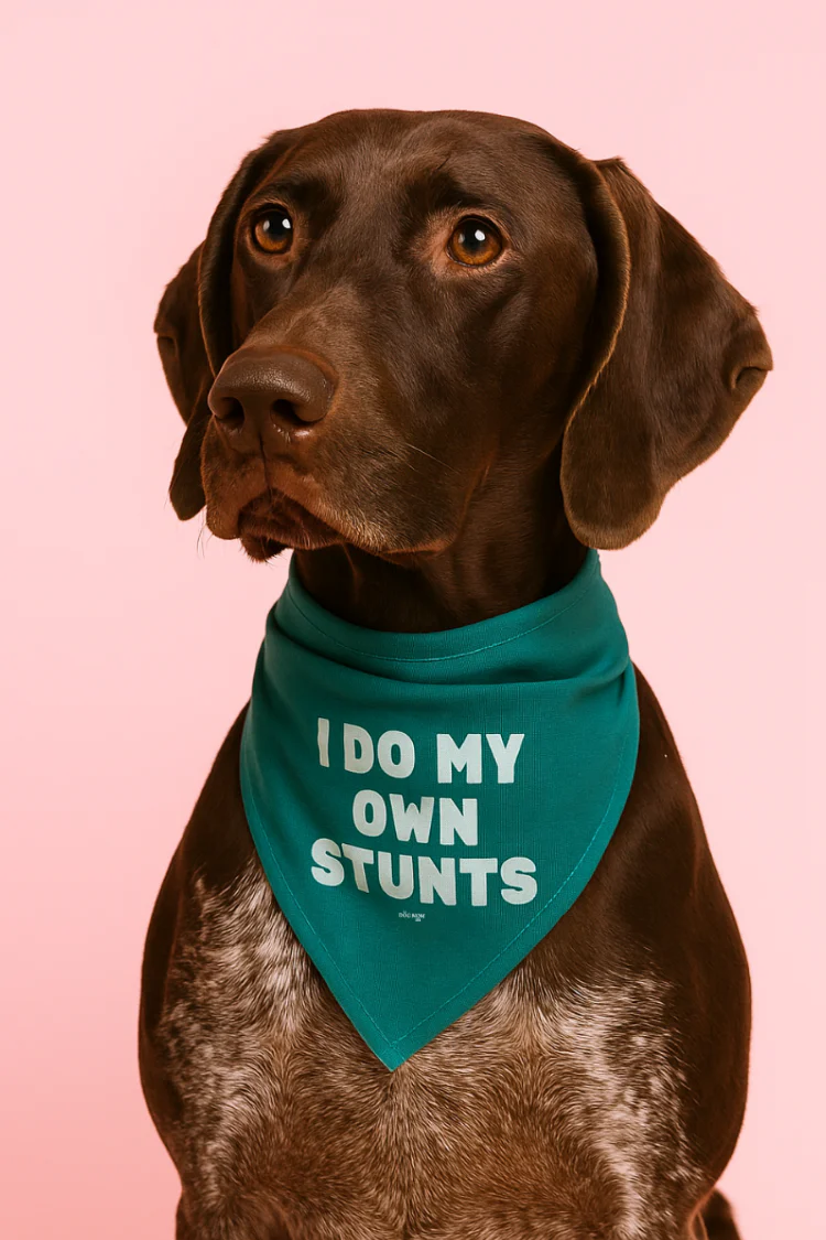 I Do My Own Stunts Dog Bandana