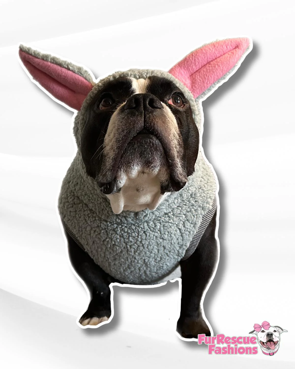 Bunny Hop Hoodie (comes in 2 different colors)