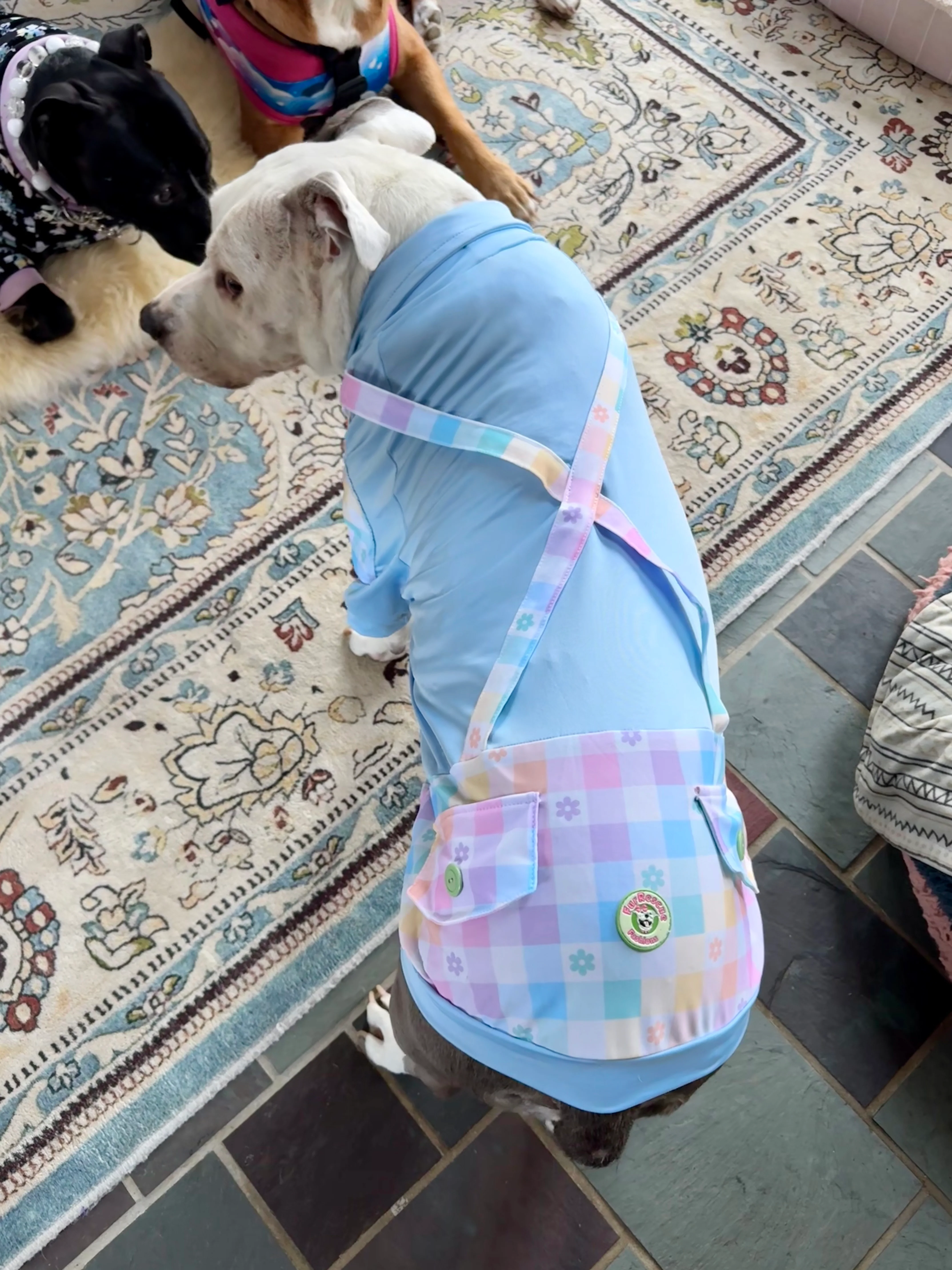 Easter Best Bunny Shirt With Sleeves, Suspenders & Removable Bow Tie.