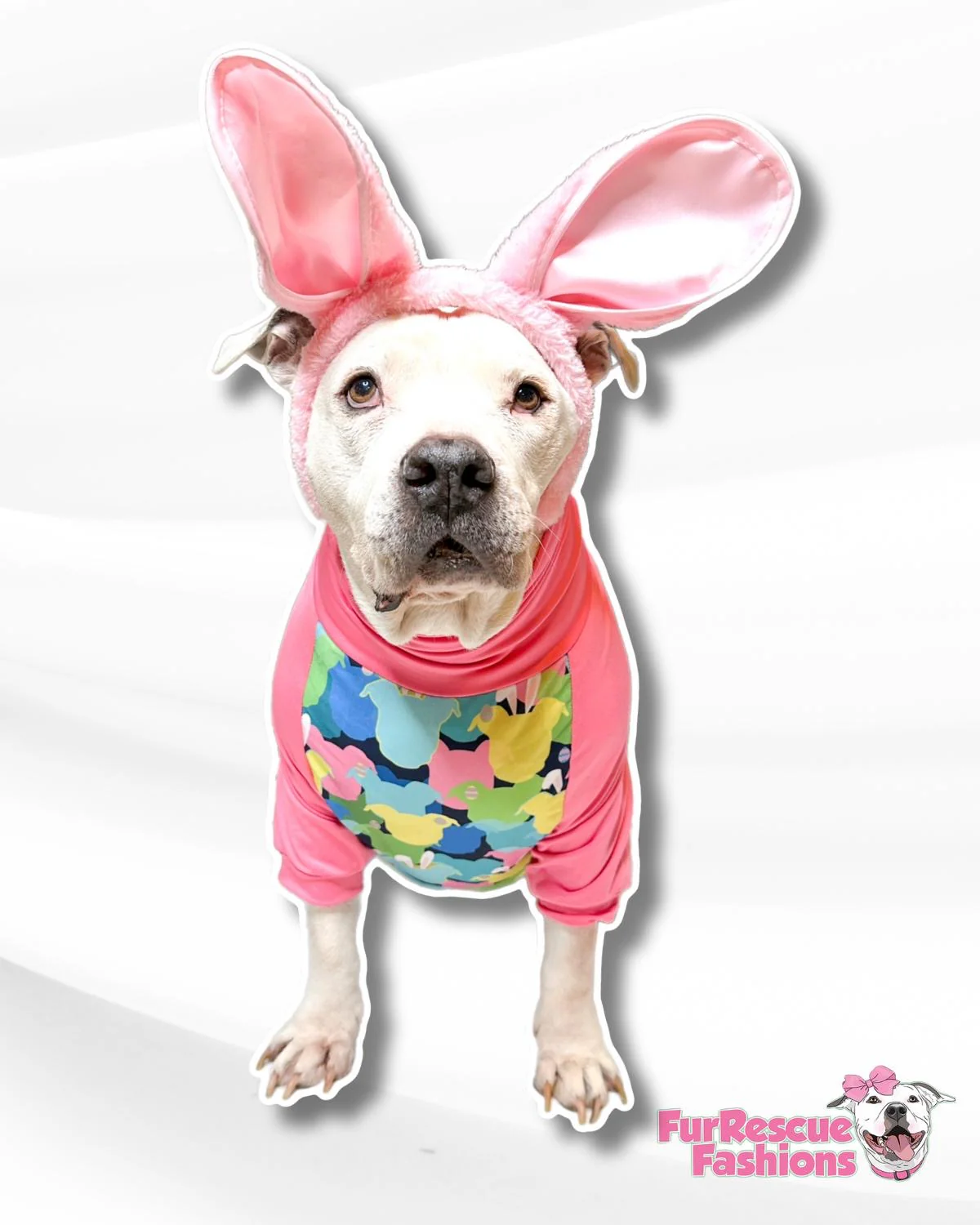 Hippittie Hoppittie - PAWjama with Pink or Aqua Neck & Trim/Sleeves