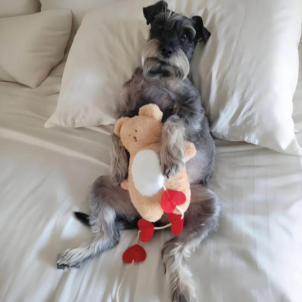 Bear Plush Toy With Hearts