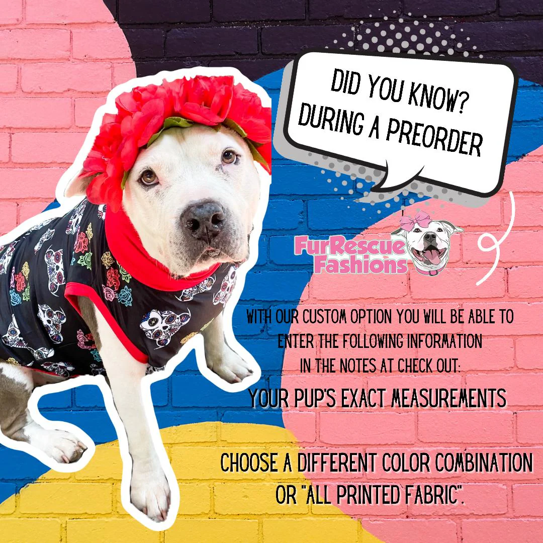 Hippittie Hoppittie - PAWjama with Pink or Aqua Neck & Trim/Sleeves