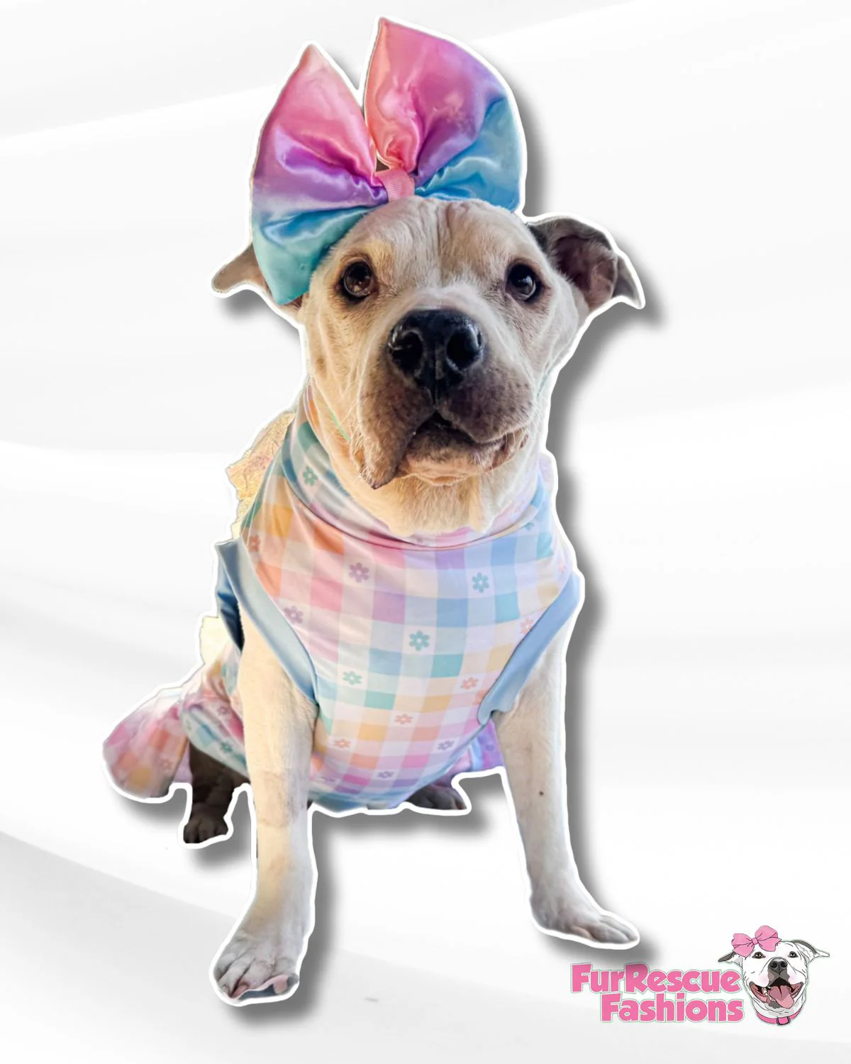 Easter Best Dog Dress With Embroidered Bunny
