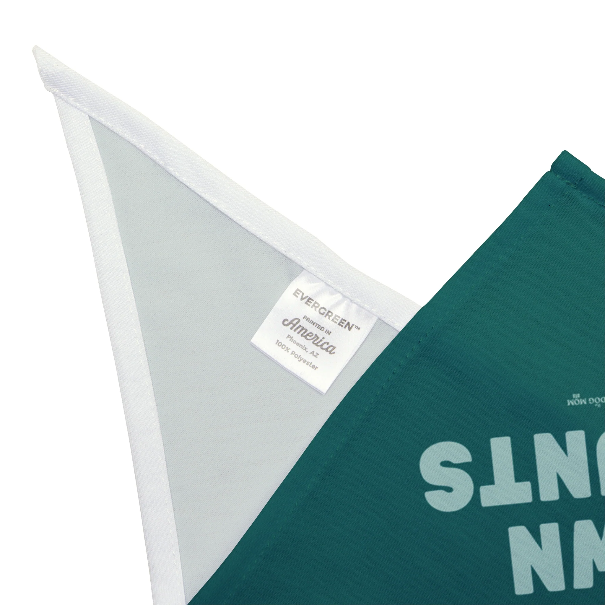 I Do My Own Stunts Dog Bandana