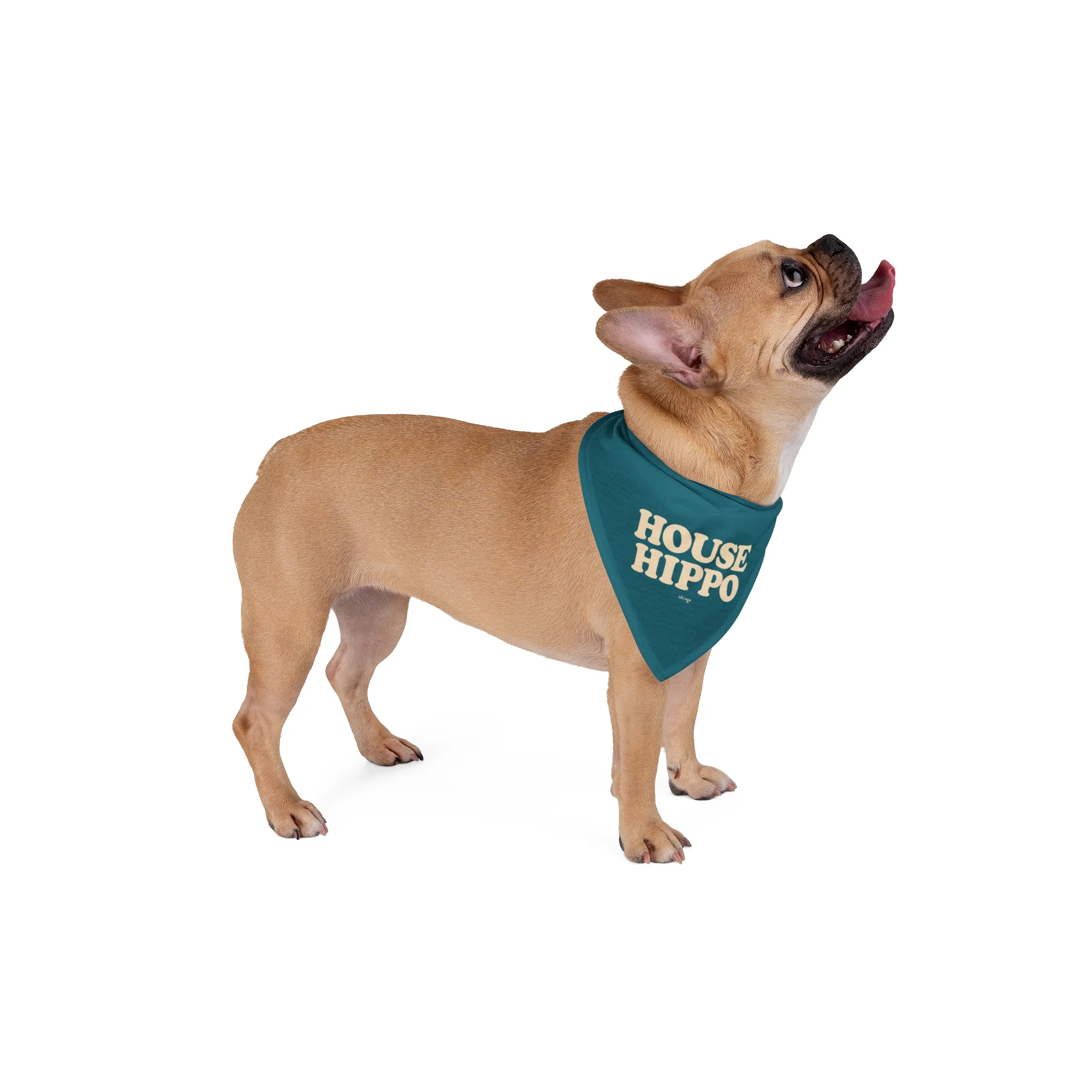 House Hippo Dog Bandana
