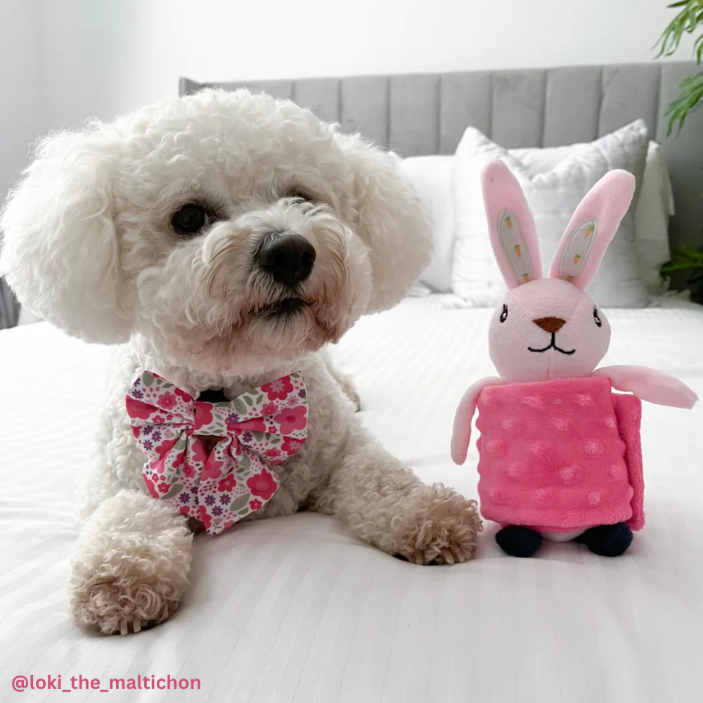 Foldable Hiding Food Toy