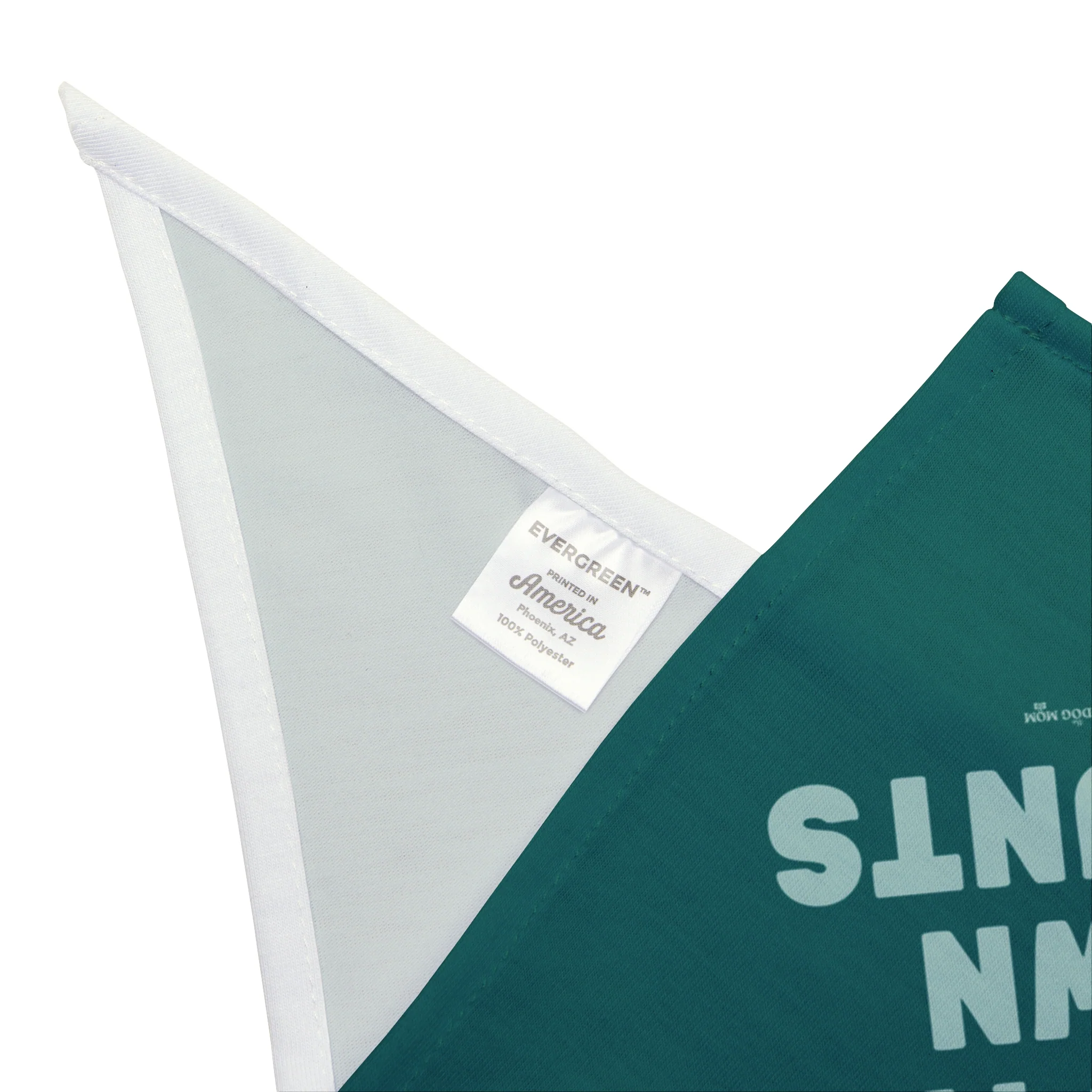 I Do My Own Stunts Dog Bandana