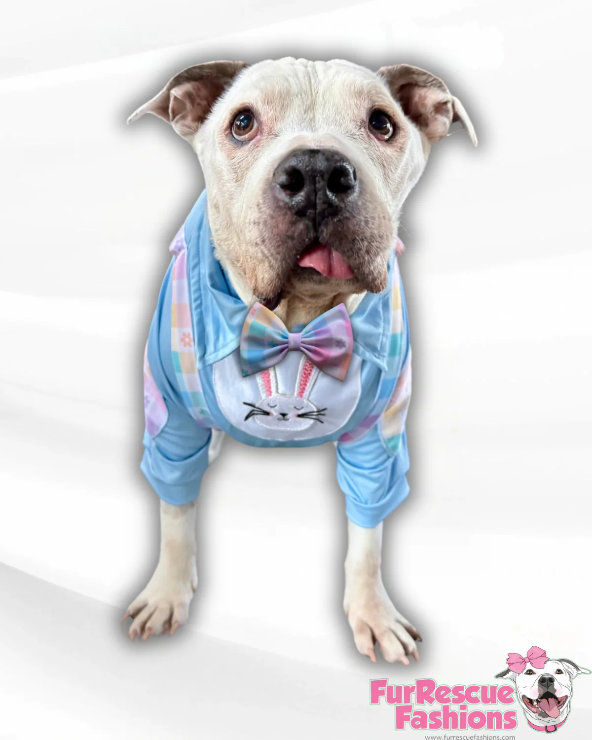 Easter Best Bunny Shirt With Sleeves, Suspenders & Removable Bow Tie.