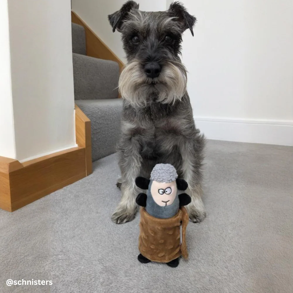 Foldable Hiding Food Toy