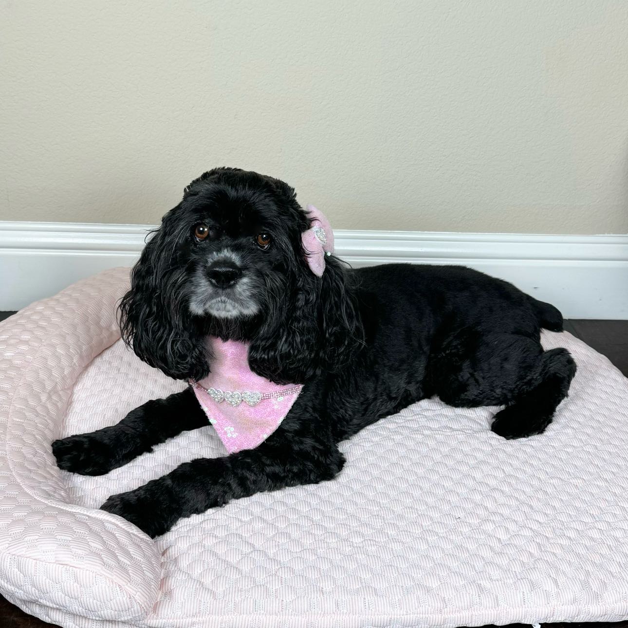 Cooling Bed with Pillow