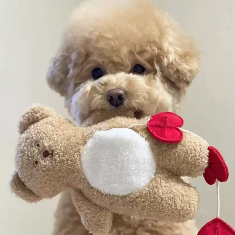Bear Plush Toy With Hearts