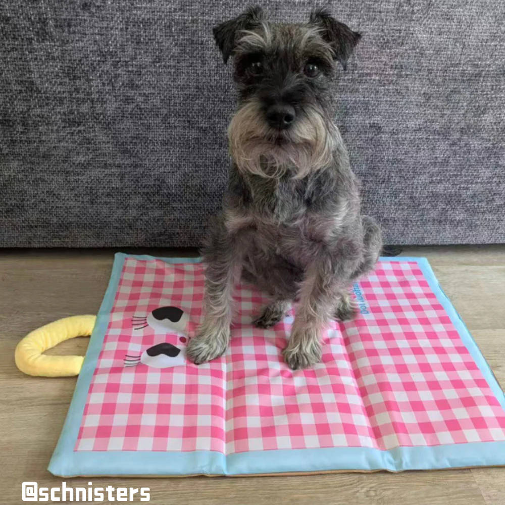 Waterproof Cooling Mat