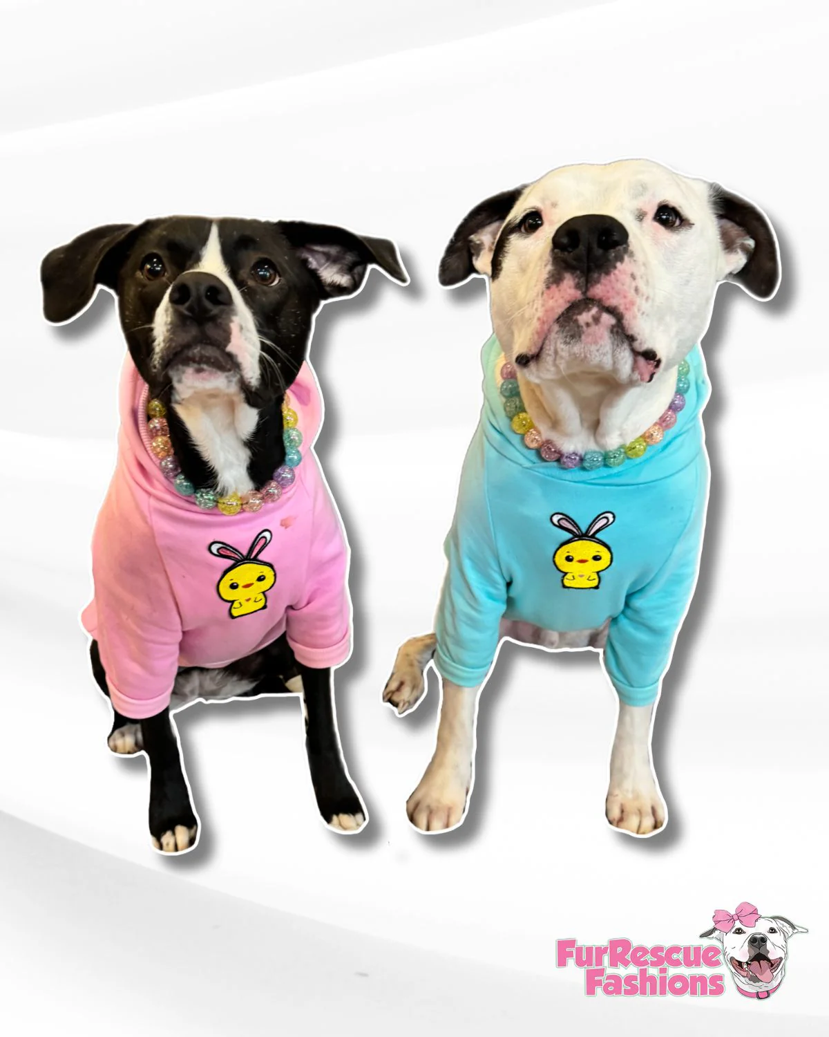Chicky Peeps Hoodies (comes in 2 different colors)