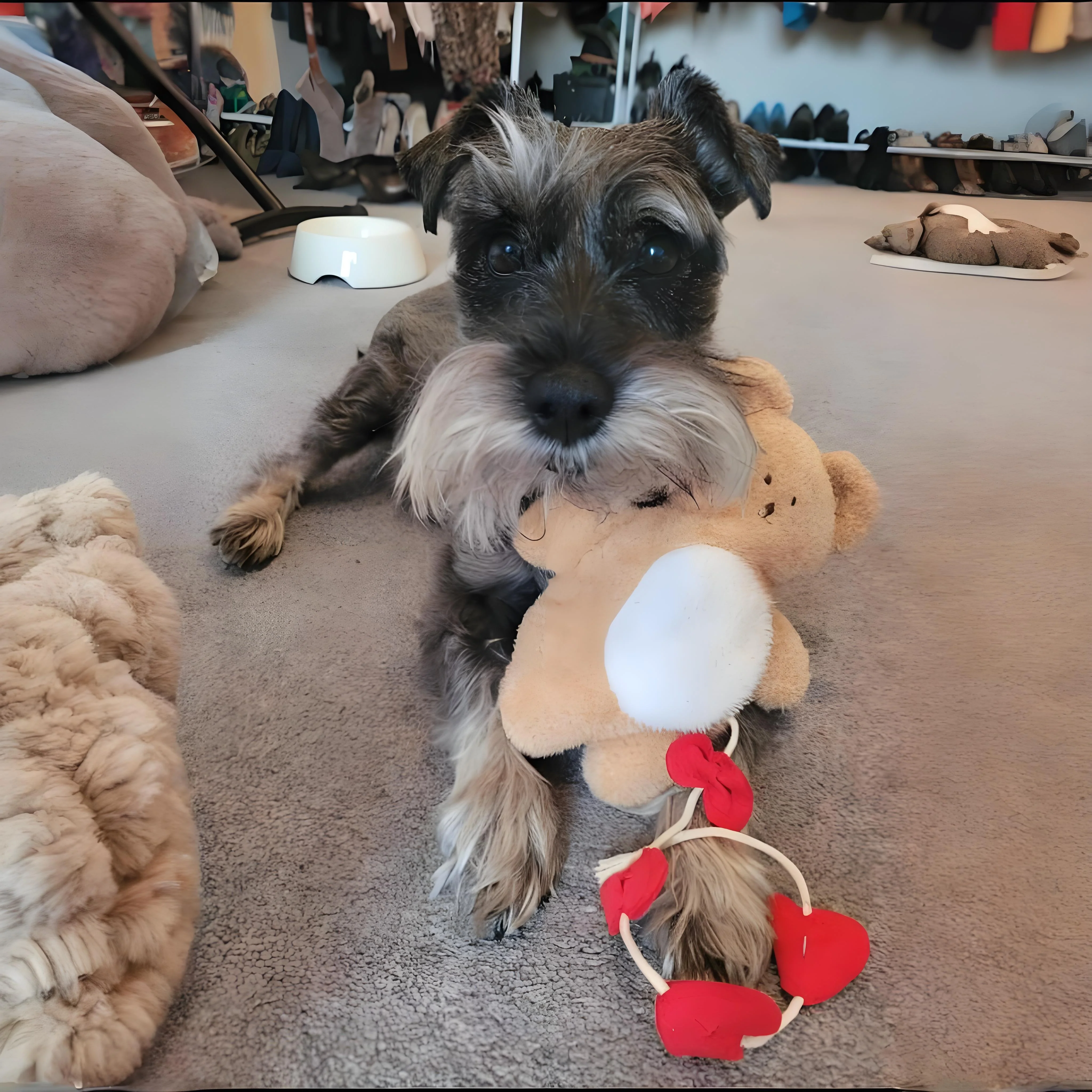 Bear Plush Toy With Hearts