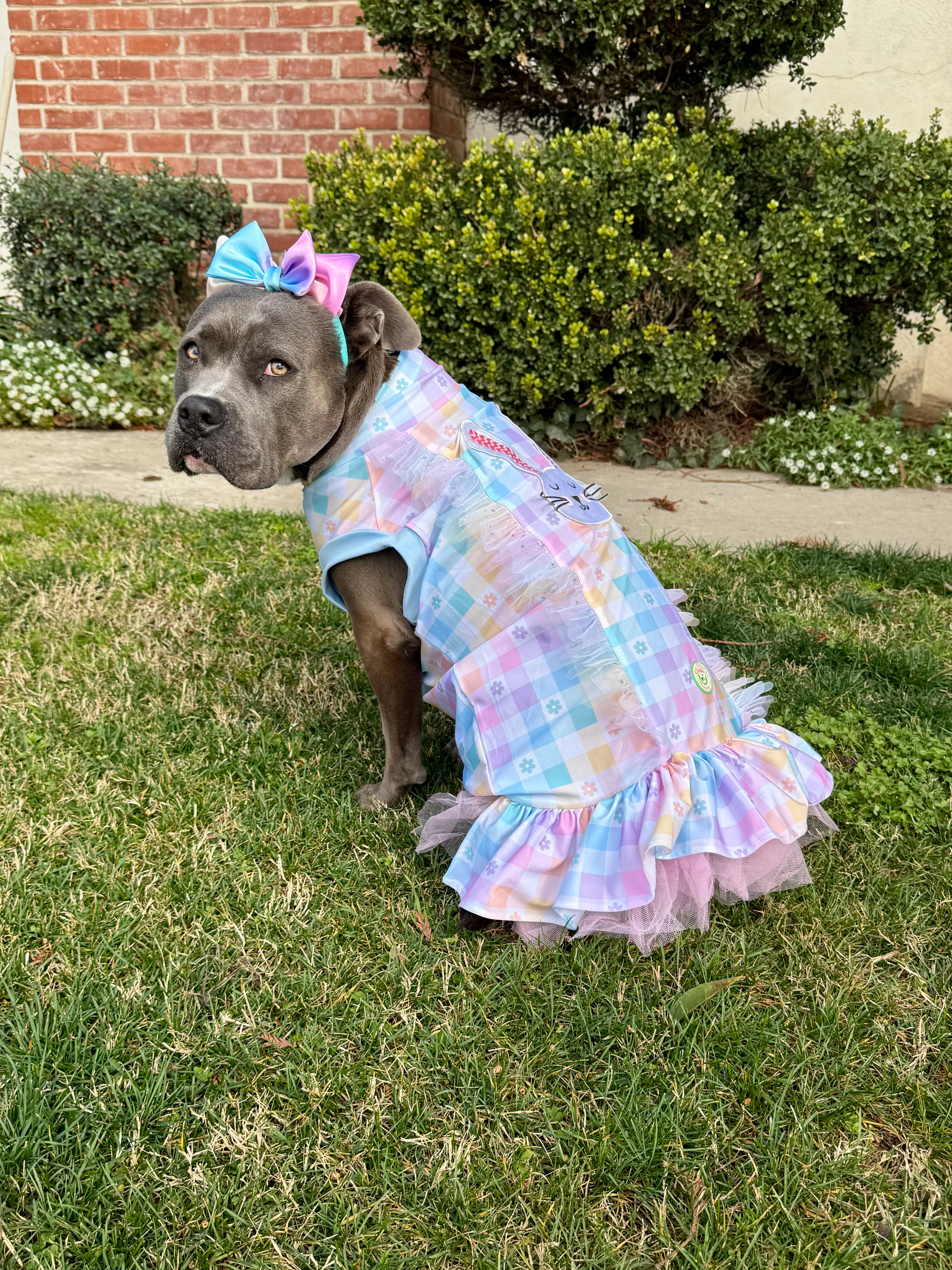 Easter Best Dog Dress With Embroidered Bunny