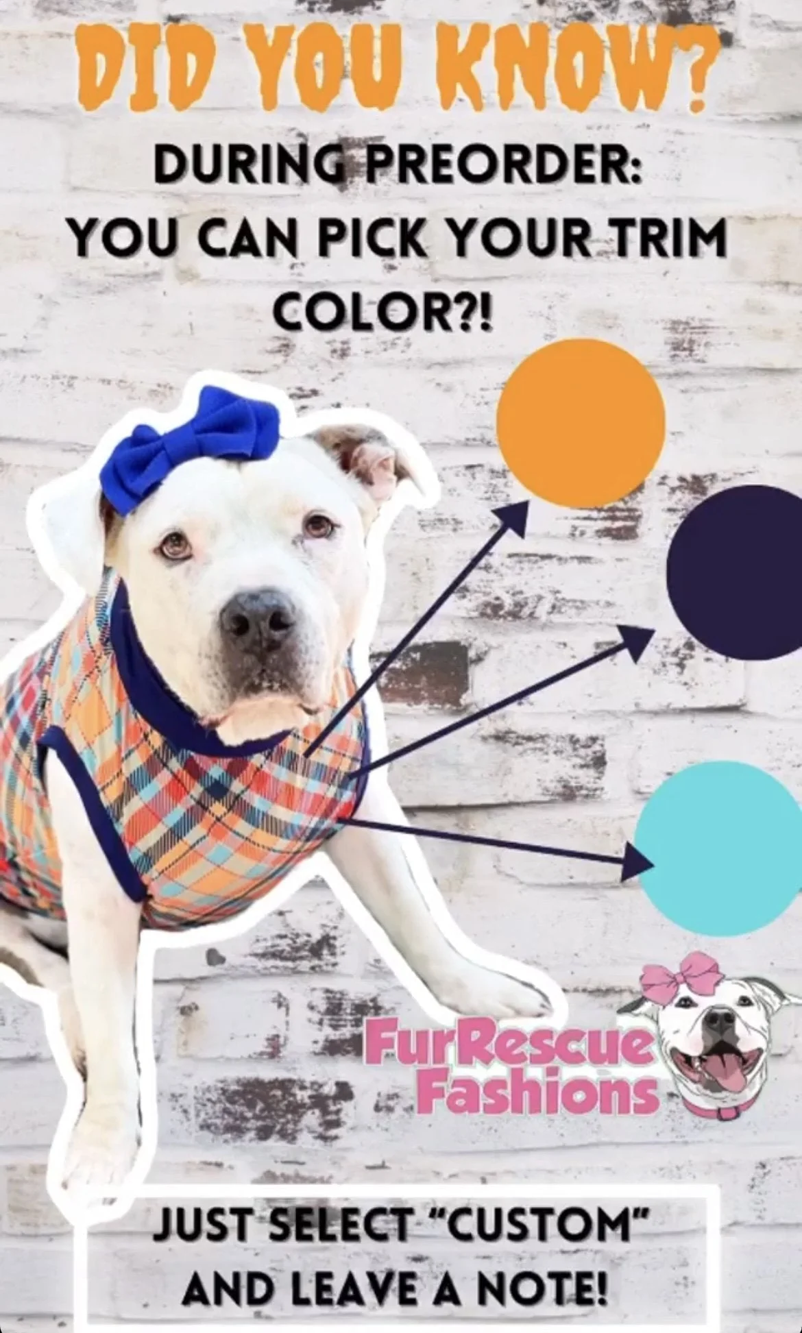 Hippittie Hoppittie - PAWjama with Pink or Aqua Neck & Trim/Sleeves